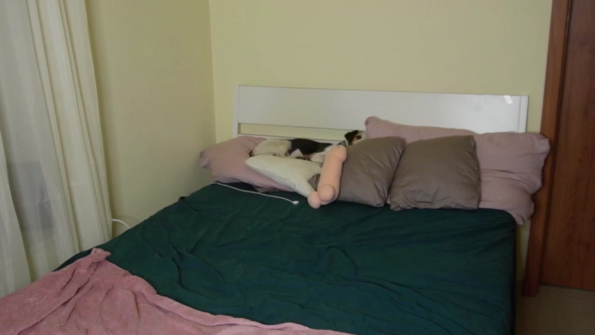 Gallery image thumbnail from realmiagold's myfreecams stream on, 06/11/2024, 20:39 image 19 of 20