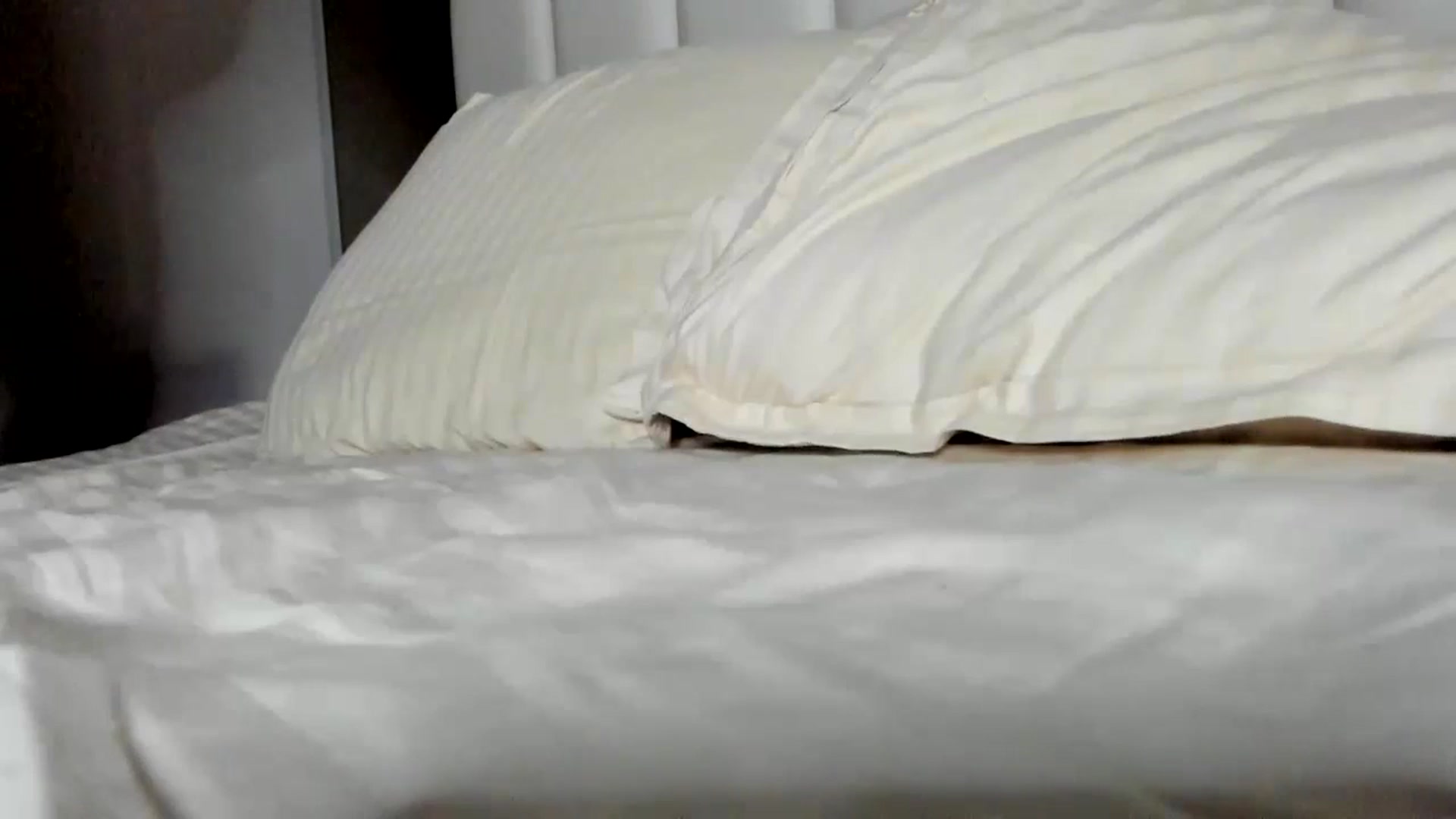 Gallery image thumbnail from regular_girl's myfreecams stream on, 10/24/2023, 19:59 image 14 of 20