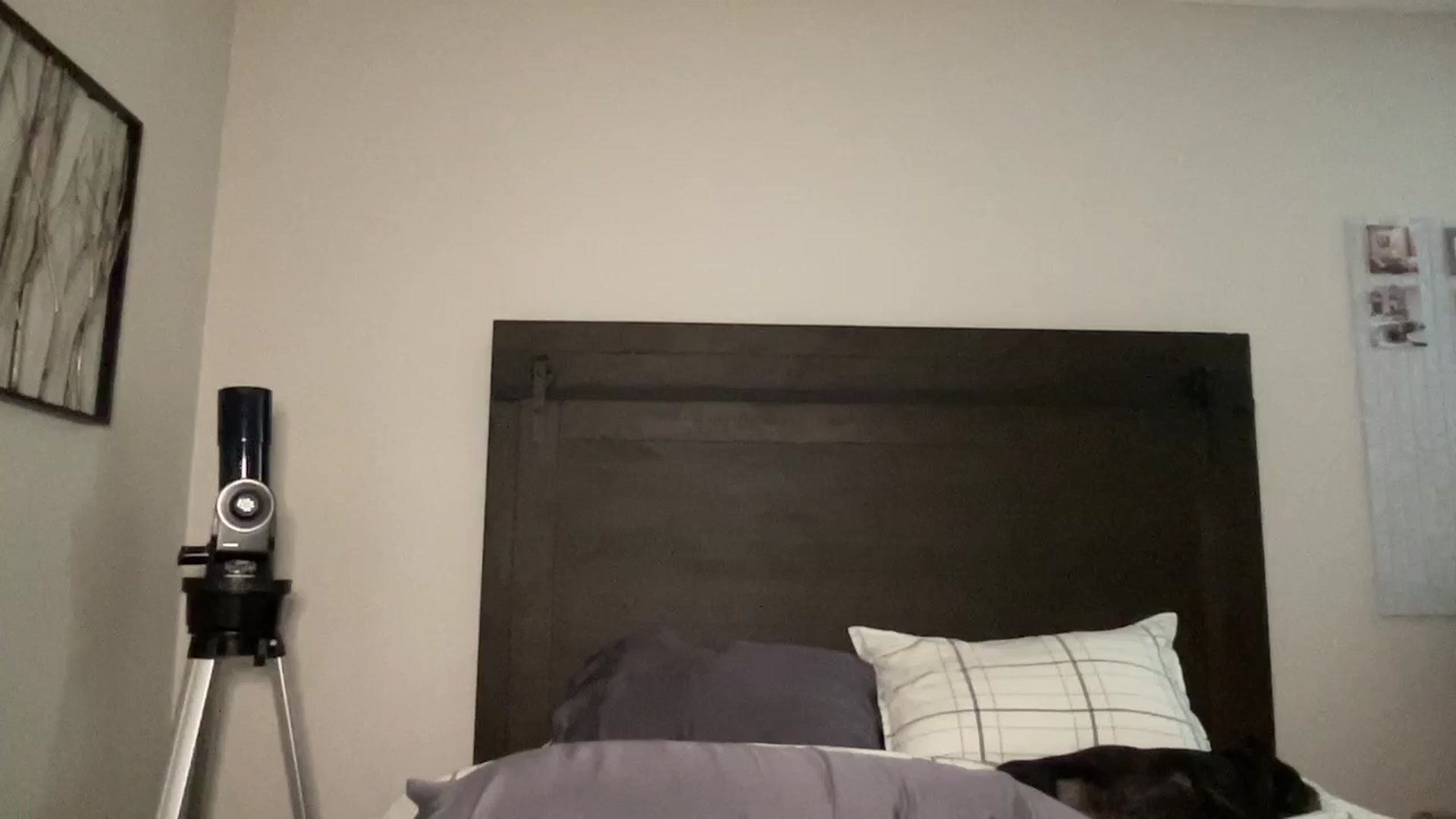 Gallery image thumbnail from rileydepp's myfreecams stream on, 10/22/2025, 23:04 image 19 of 20