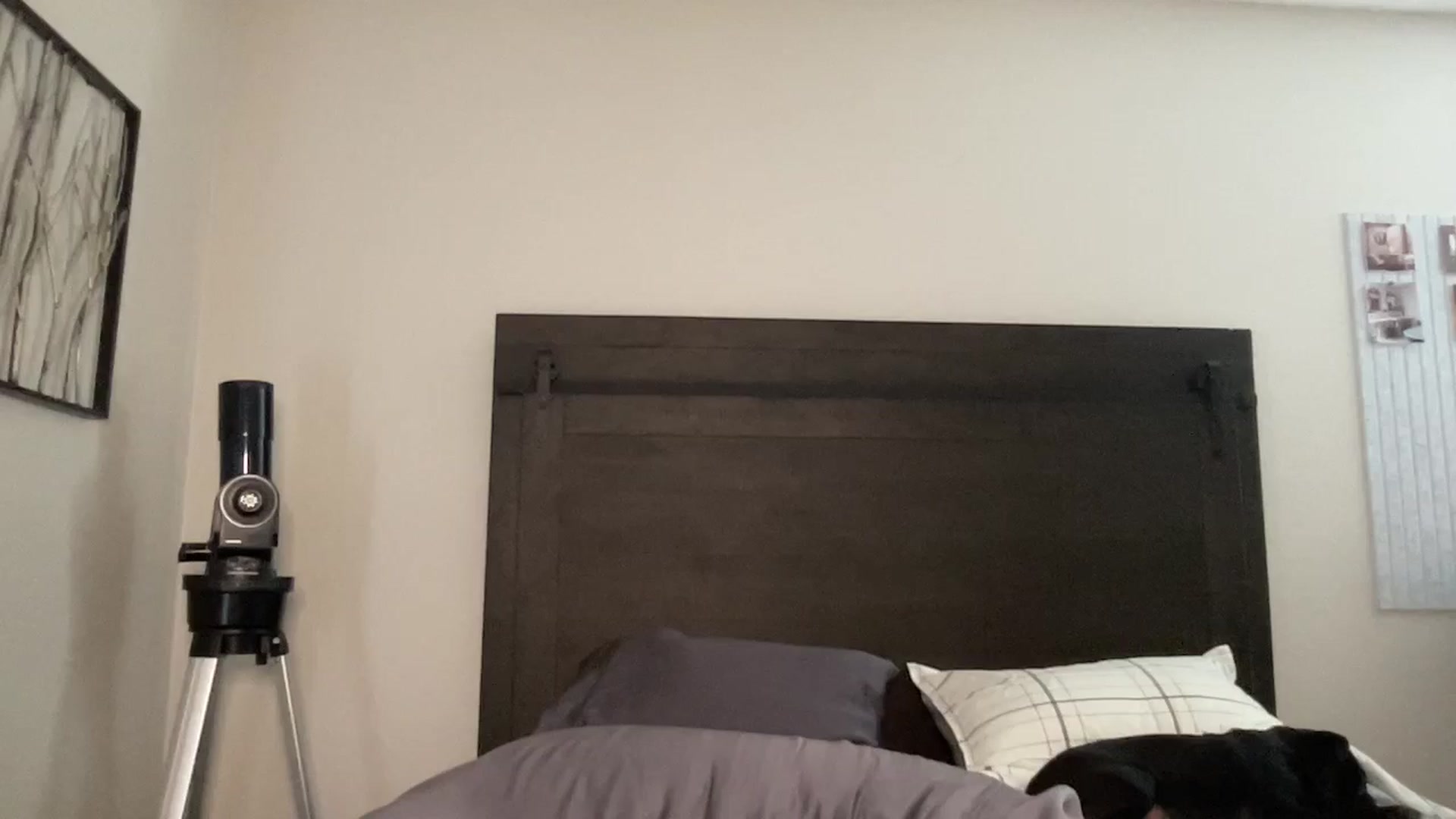 Gallery image thumbnail from rileydepp's myfreecams stream on, 10/23/2025, 20:22 image 19 of 20