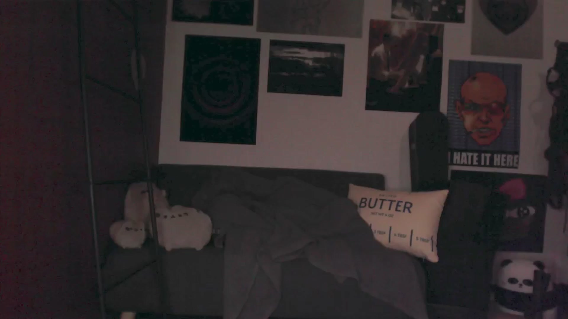 Gallery image thumbnail from roomroomroom's myfreecams stream on, 03/31/2025, 01:19 image 6 of 20