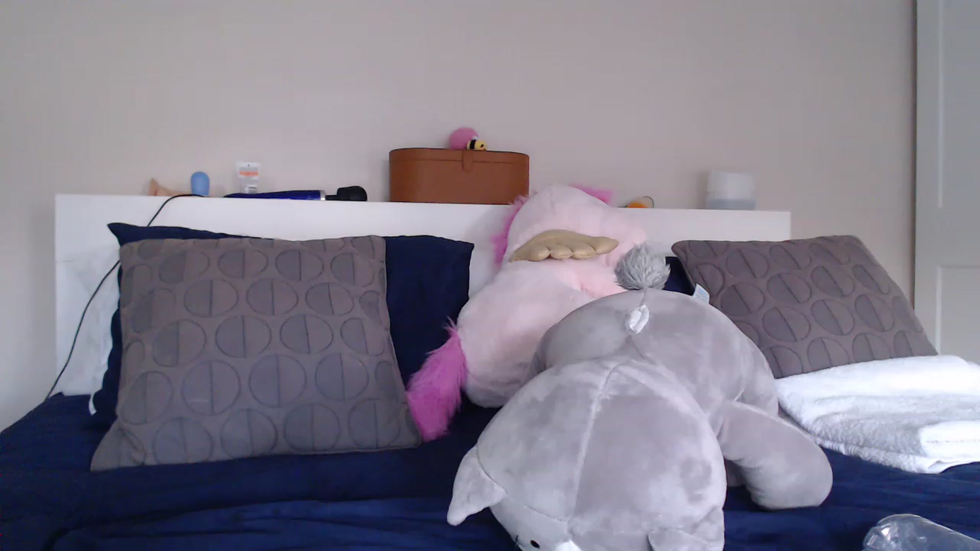 Gallery image thumbnail from ruby_oharax's myfreecams stream on, 06/16/2023, 19:30 image 20 of 20