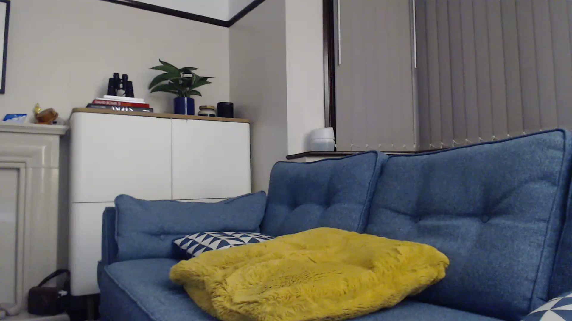 Gallery image thumbnail from ruby_oharax's myfreecams stream on, 07/04/2023, 21:36 image 11 of 20