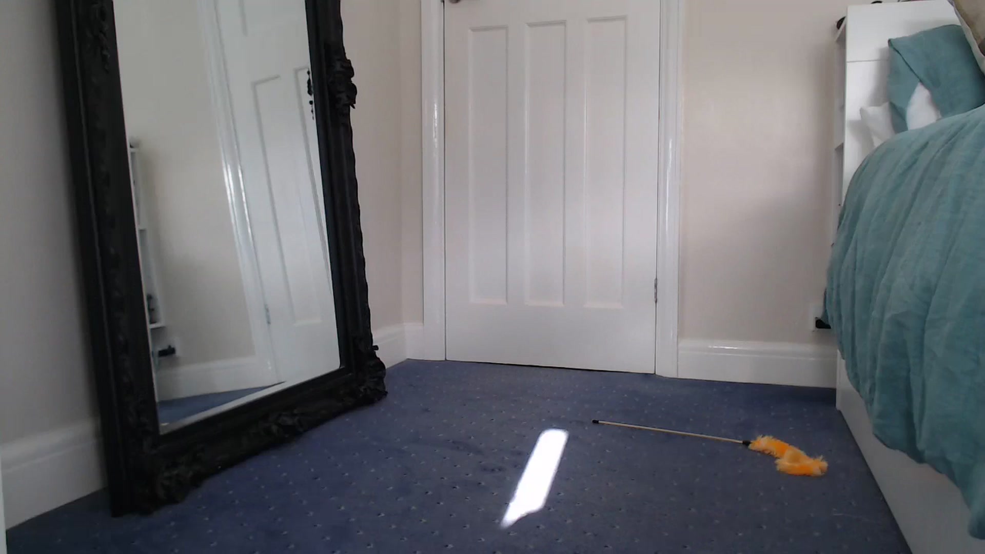 Gallery image thumbnail from ruby_oharax's myfreecams stream on, 10/24/2023, 13:17 image 18 of 20