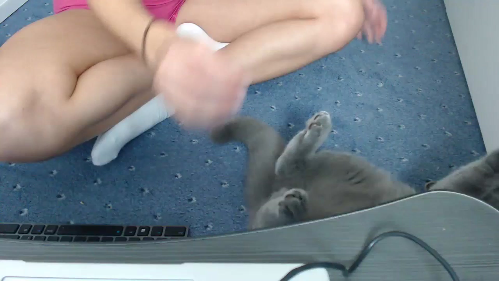 Gallery image thumbnail from ruby_oharax's myfreecams stream on, 11/21/2023, 14:47 image 19 of 20