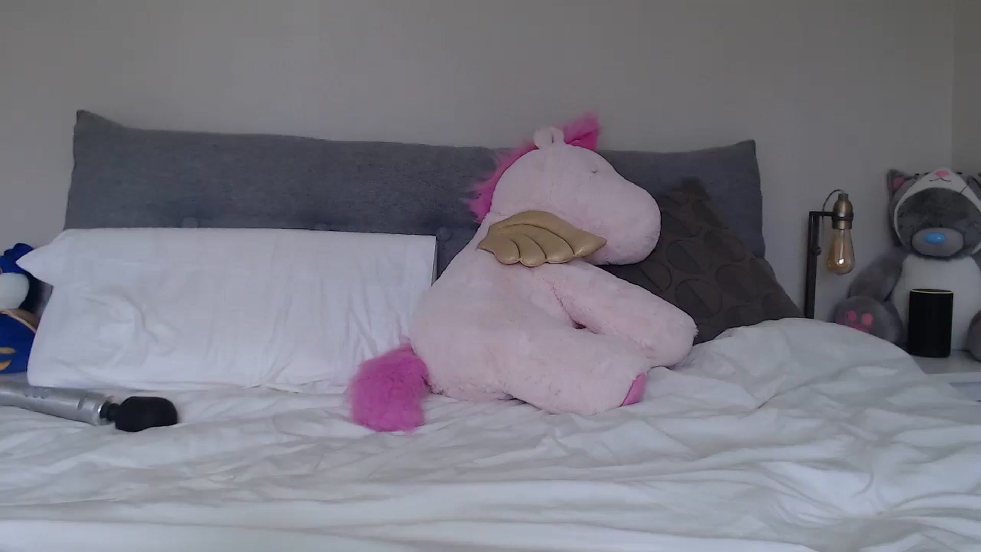 Gallery image thumbnail from ruby_oharax's myfreecams stream on, 01/08/2024, 14:29 image 19 of 20