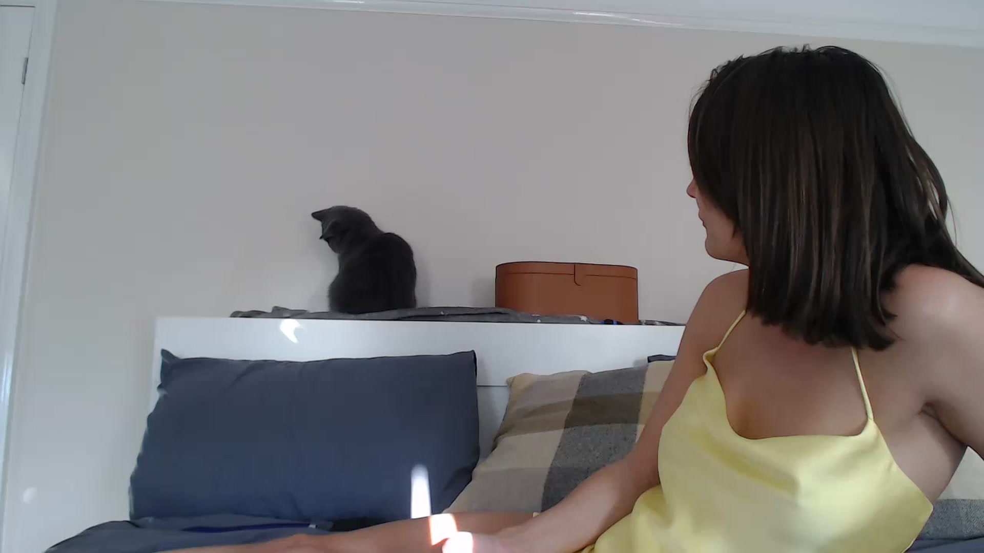 Gallery image thumbnail from ruby_oharax's myfreecams stream on, 01/15/2024, 14:20 image 1 of 20