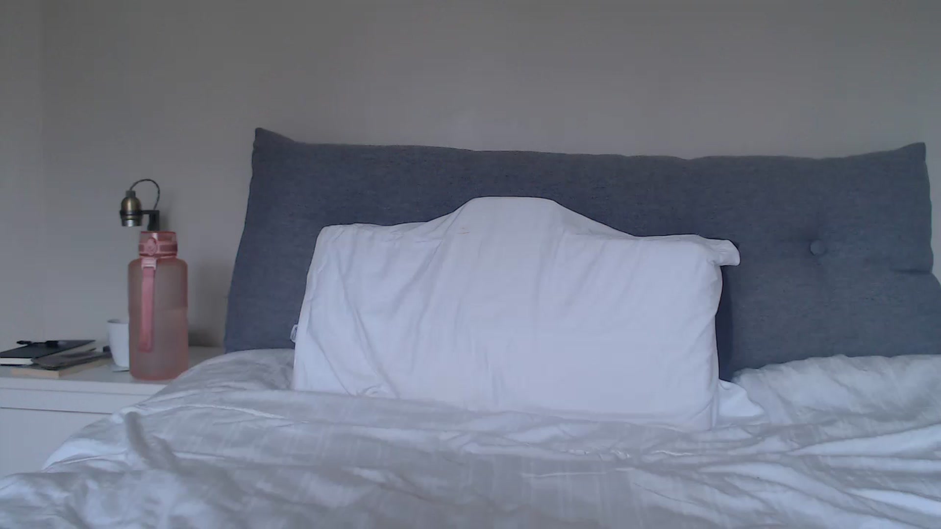 Gallery image thumbnail from ruby_oharax's myfreecams stream on, 03/21/2024, 12:12 image 13 of 20