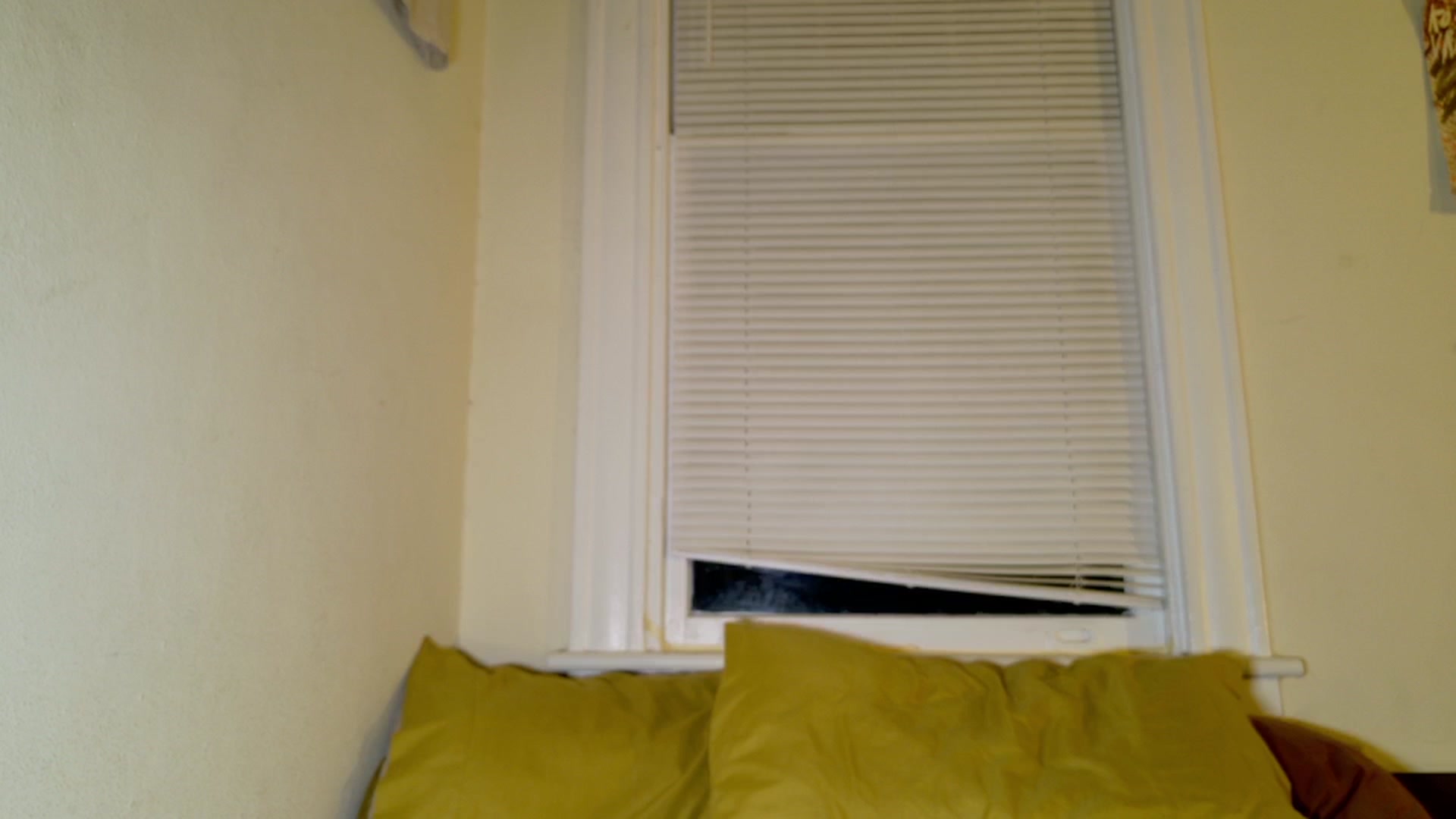 Gallery image thumbnail from sage_bunny's myfreecams stream on, 06/26/2025, 06:44 image 11 of 20