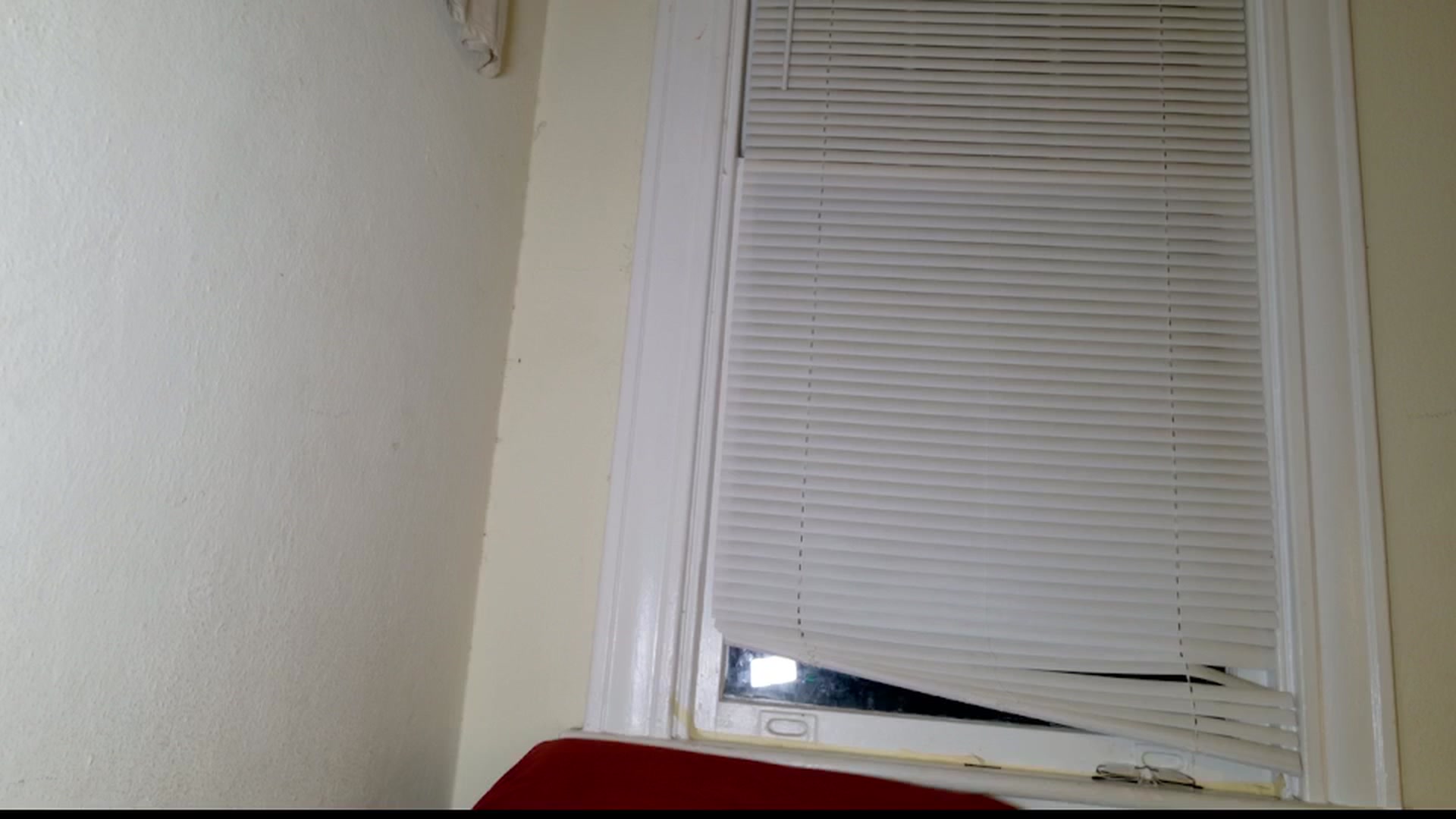 Gallery image thumbnail from sage_bunny's myfreecams stream on, 08/28/2025, 06:10 image 1 of 20
