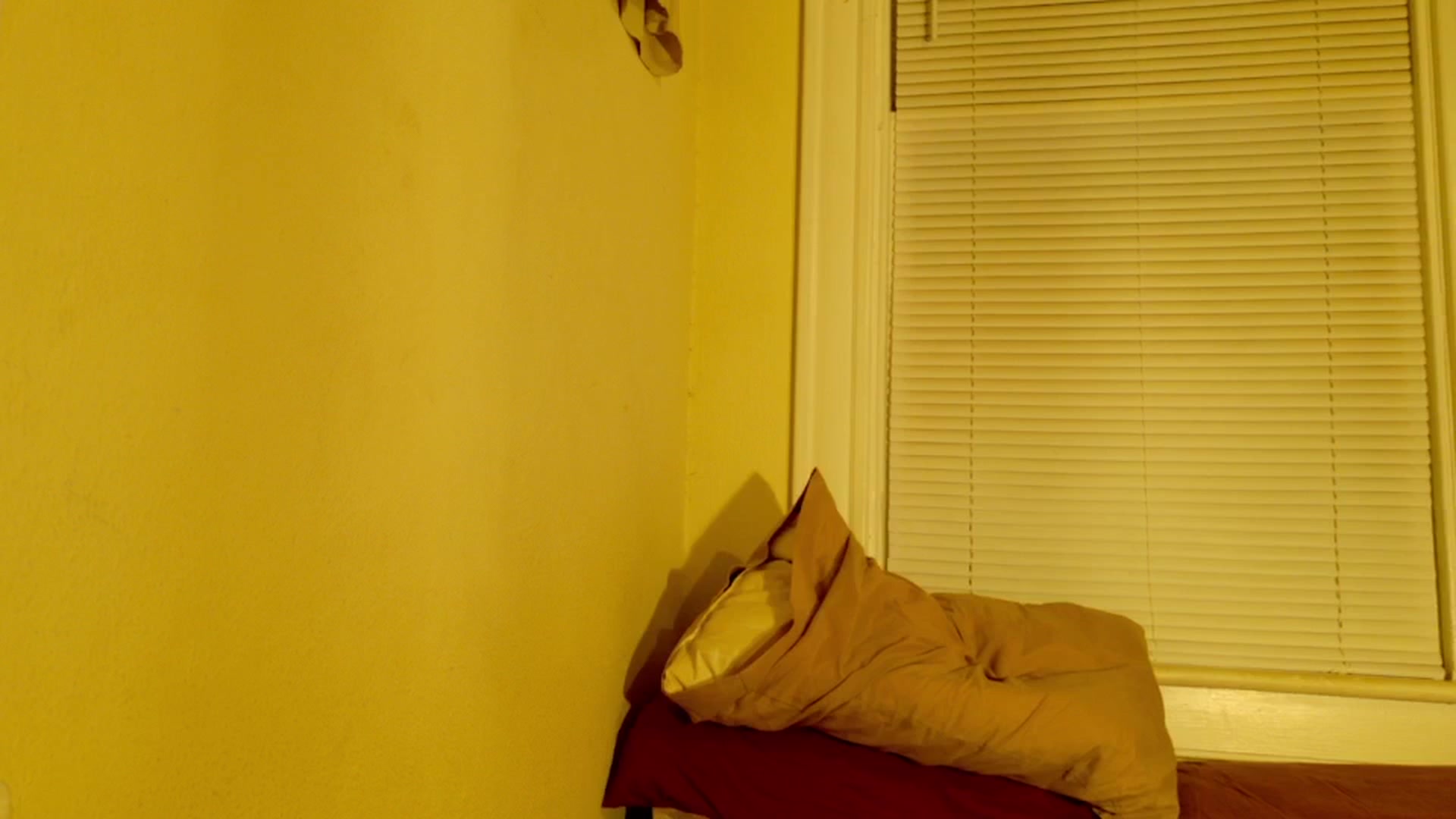 Gallery image thumbnail from sagerains's myfreecams stream on, 12/31/2025, 07:24 image 14 of 20