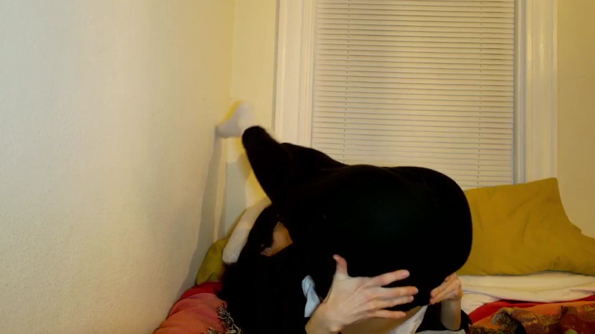 Gallery image thumbnail from sagerains's myfreecams stream on, 01/21/2026, 06:10 image 5 of 20