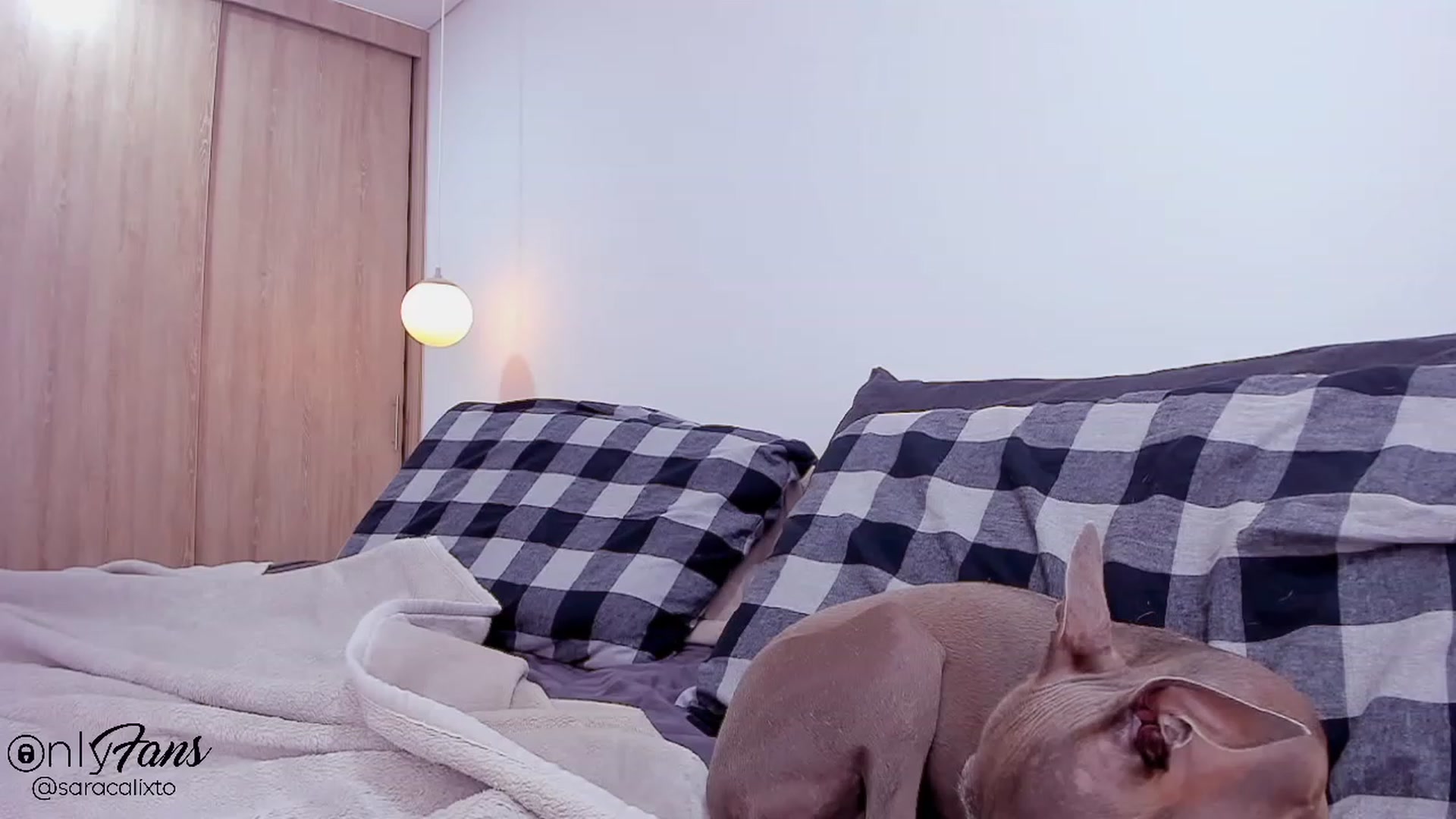 Gallery image thumbnail from saracalixtocr's myfreecams stream on, 11/11/2023, 04:20 image 5 of 20