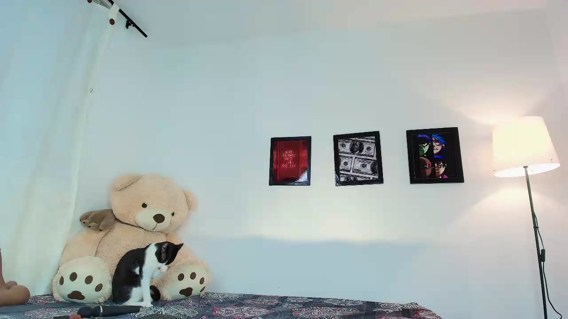 Gallery image thumbnail from saratatoo_'s myfreecams stream on, 09/12/2026, 01:35 image 13 of 20