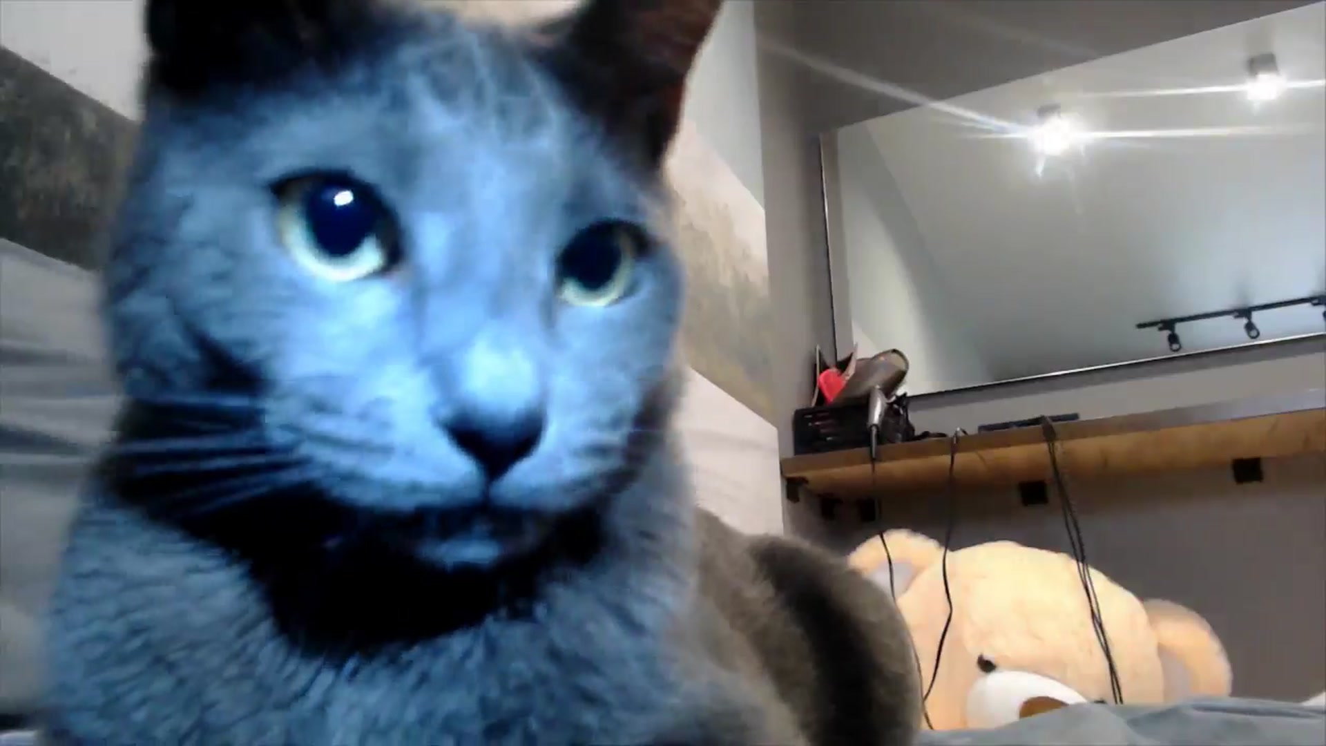 Gallery image thumbnail from semisweet's myfreecams stream on, 05/28/2025, 03:54 image 16 of 20