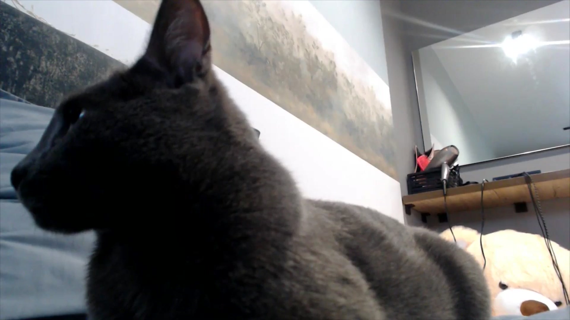 Gallery image thumbnail from semisweet's myfreecams stream on, 05/28/2025, 03:54 image 15 of 20