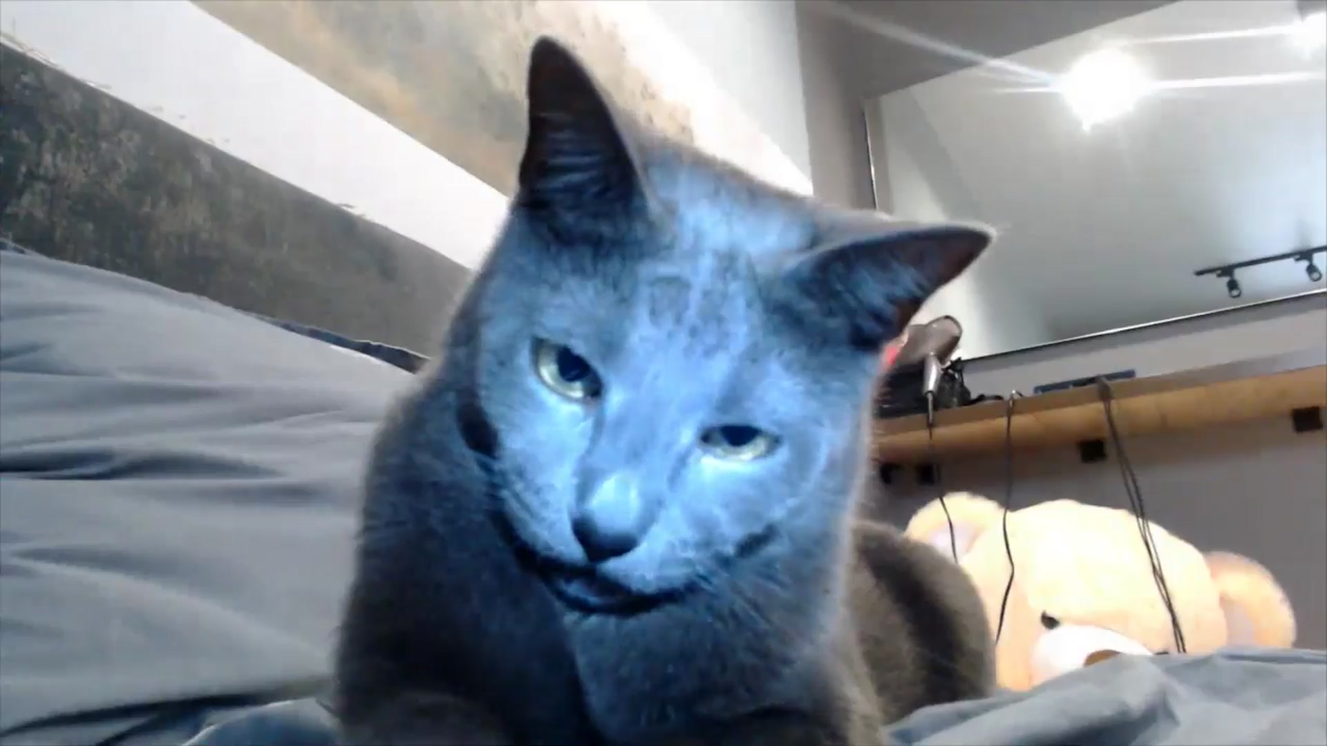 Gallery image thumbnail from semisweet's myfreecams stream on, 05/28/2025, 03:54 image 17 of 20