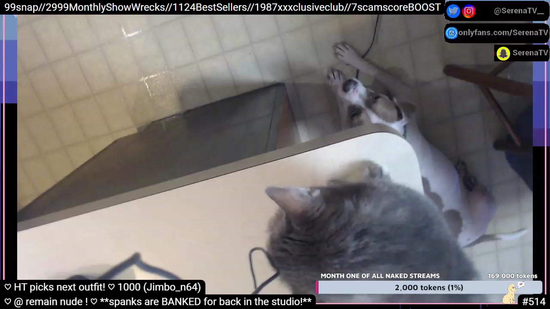 Gallery image thumbnail from serenatv's myfreecams stream on, 01/12/2023, 22:47 image 10 of 20