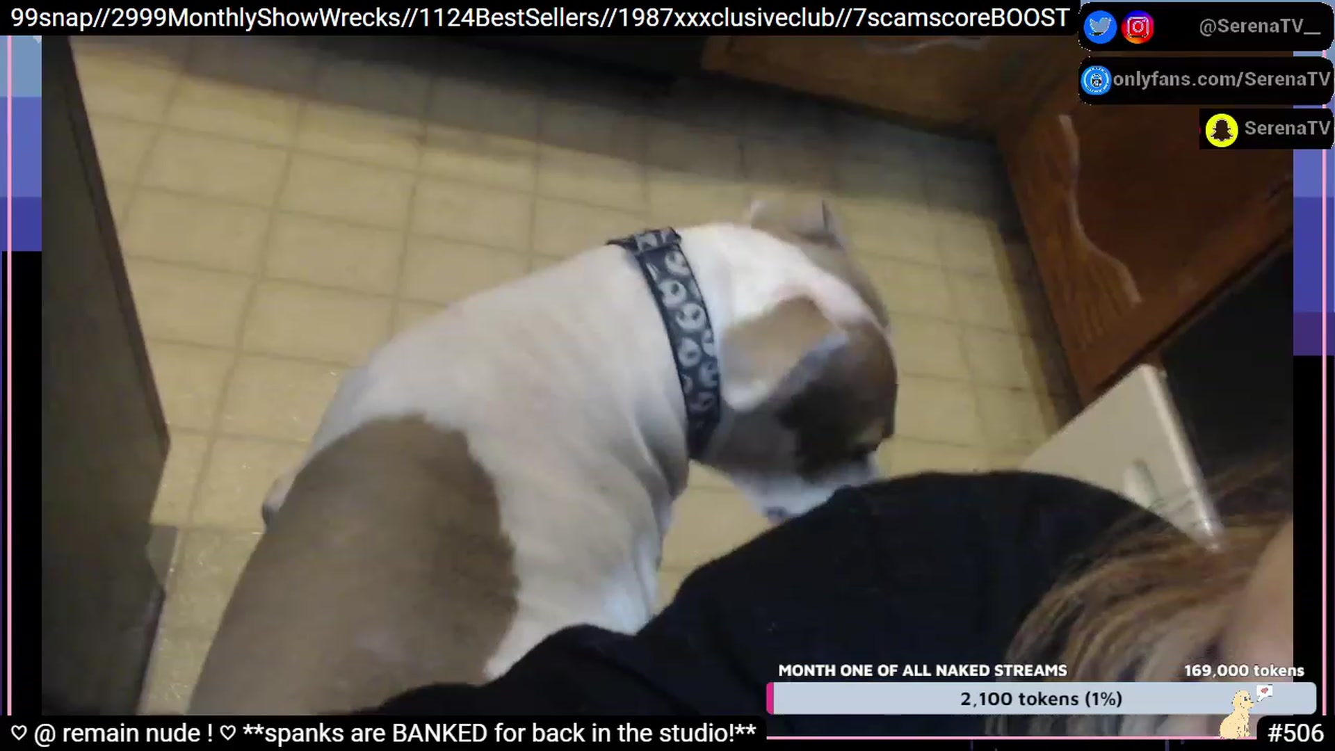 Gallery image thumbnail from serenatv's myfreecams stream on, 01/12/2023, 23:57 image 8 of 20