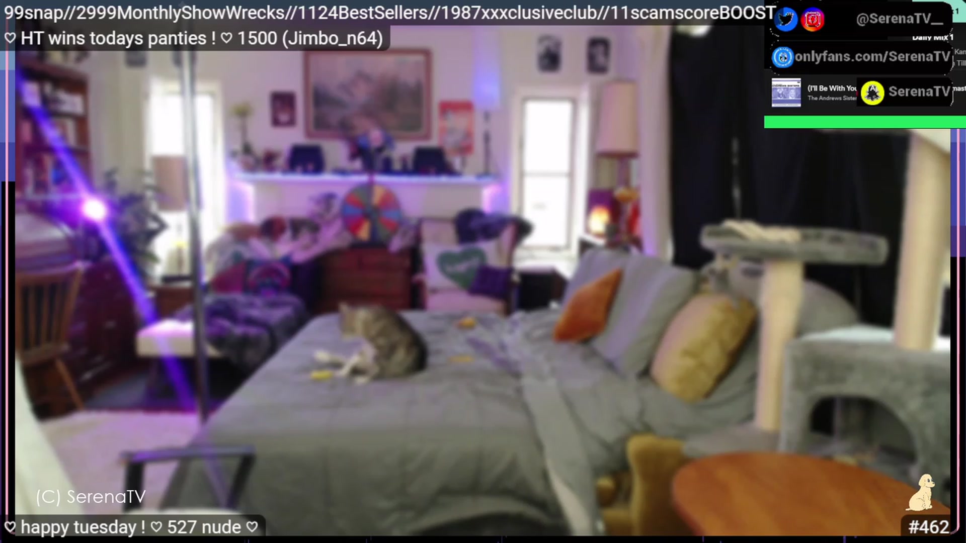 Gallery image thumbnail from serenatv's myfreecams stream on, 02/28/2023, 22:15 image 20 of 20