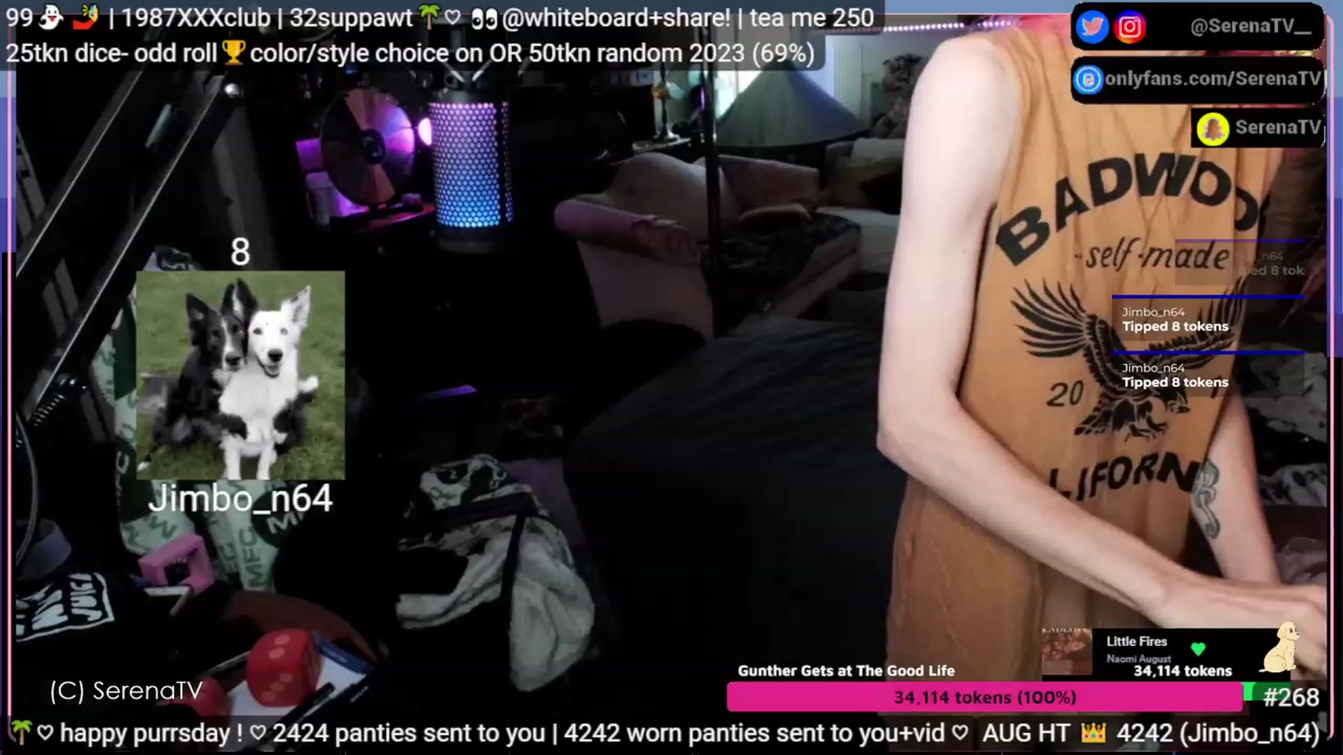 Gallery image thumbnail from serenatv's myfreecams stream on, 08/10/2023, 20:08 image 9 of 20