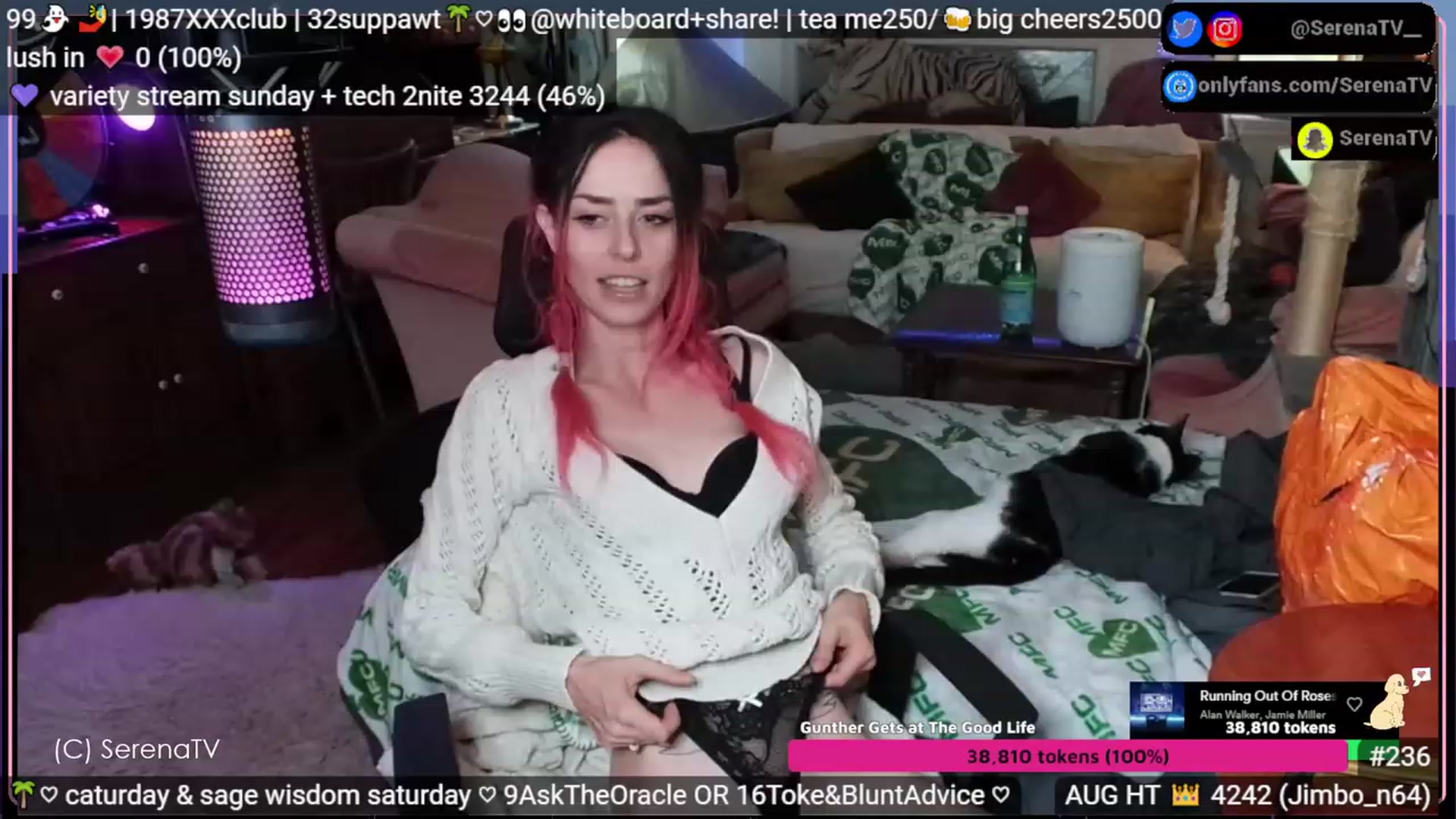Gallery image thumbnail from serenatv's myfreecams stream on, 08/12/2023, 20:07 image 5 of 20
