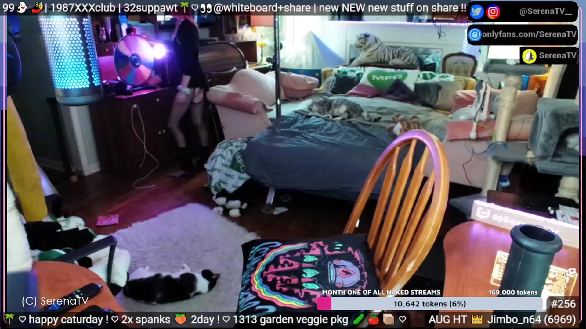 Gallery image thumbnail from serenatv's myfreecams stream on, 08/26/2023, 20:31 image 7 of 20