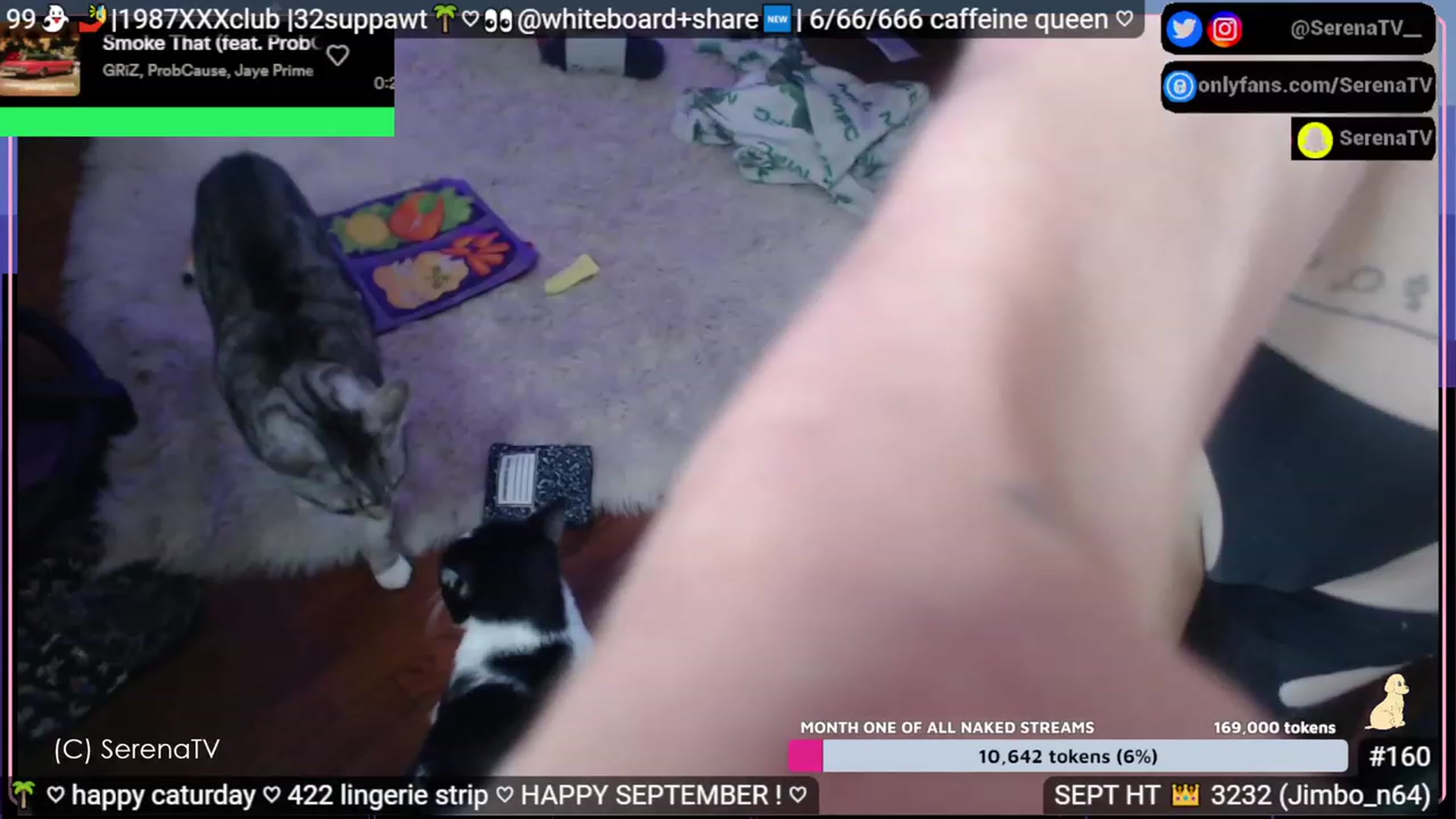 Gallery image thumbnail from serenatv's myfreecams stream on, 09/02/2023, 20:56 image 13 of 20