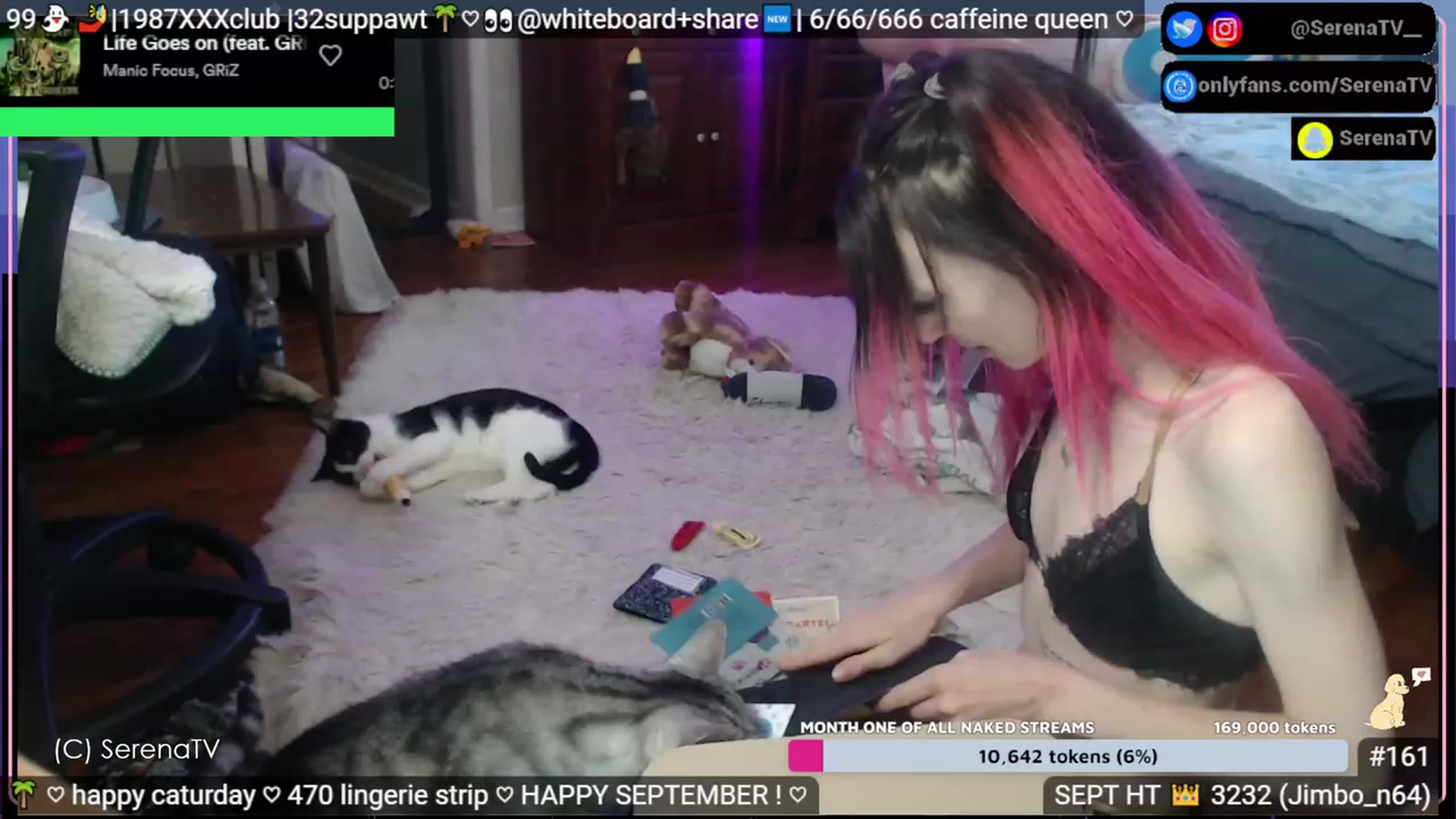 Gallery image thumbnail from serenatv's myfreecams stream on, 09/02/2023, 20:56 image 10 of 20