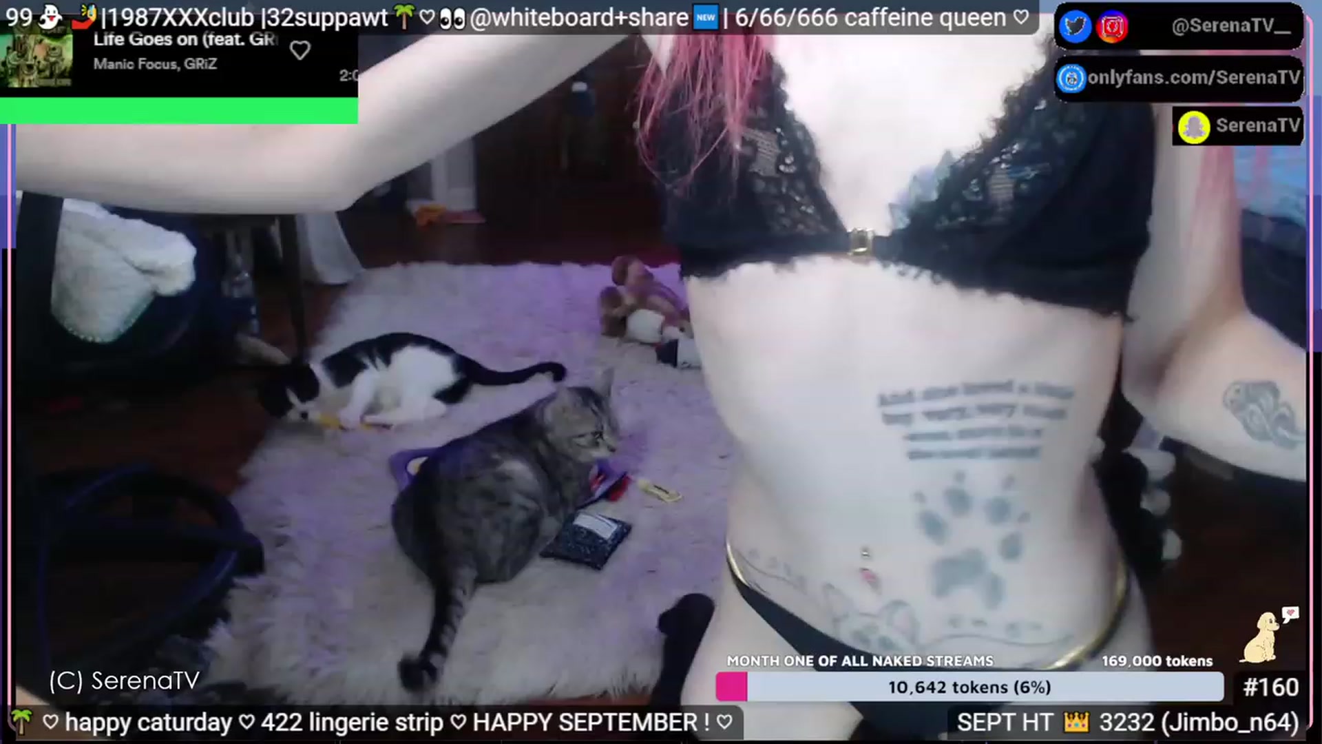 Gallery image thumbnail from serenatv's myfreecams stream on, 09/02/2023, 20:56 image 11 of 20