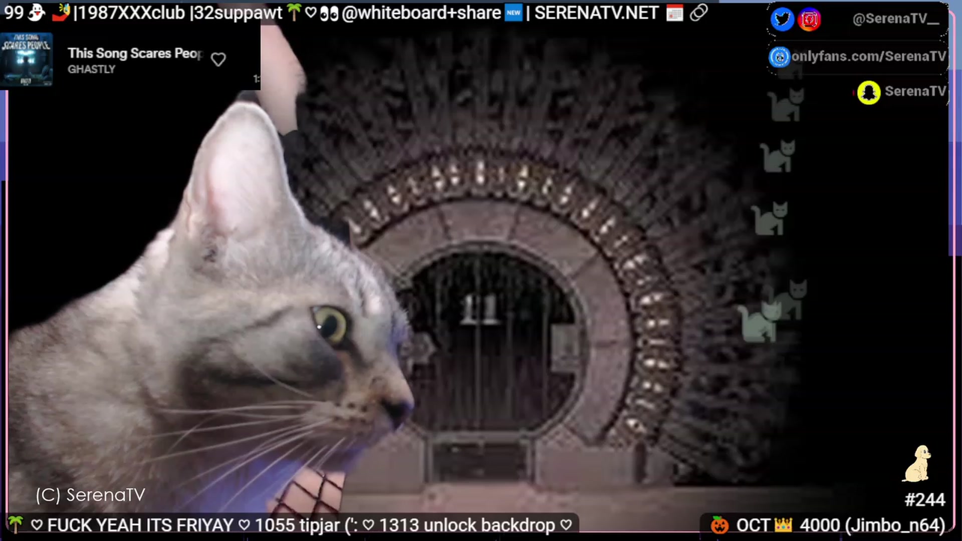 Gallery image thumbnail from serenatv's myfreecams stream on, 10/13/2023, 20:27 image 14 of 20