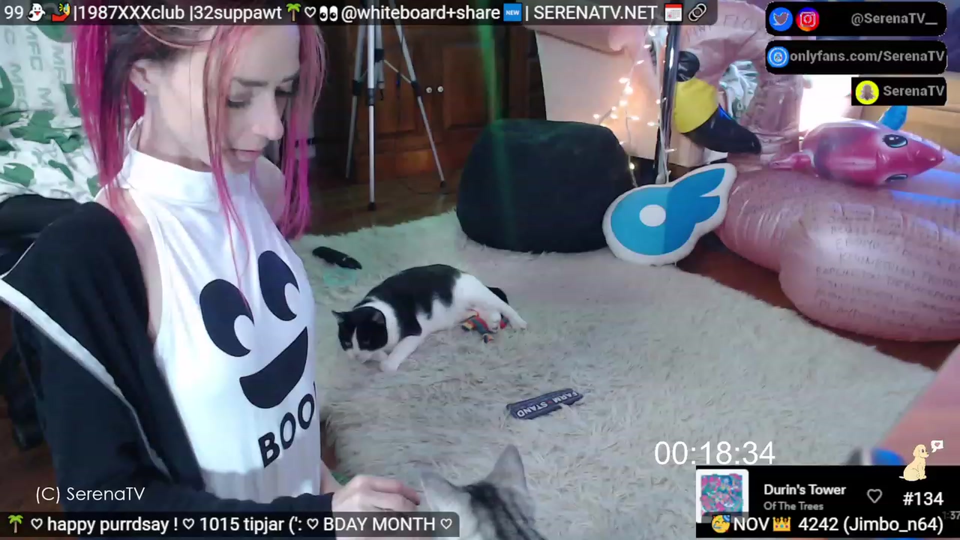 Gallery image thumbnail from serenatv's myfreecams stream on, 11/02/2023, 20:07 image 12 of 20