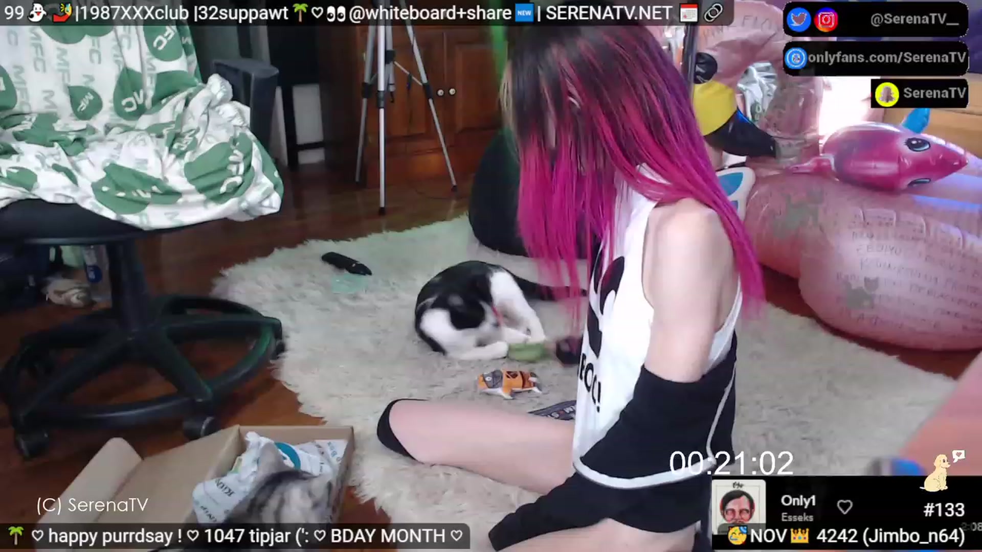 Gallery image thumbnail from serenatv's myfreecams stream on, 11/02/2023, 20:07 image 11 of 20