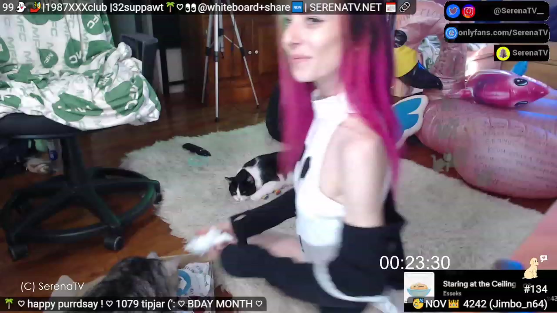 Gallery image thumbnail from serenatv's myfreecams stream on, 11/02/2023, 20:07 image 10 of 20
