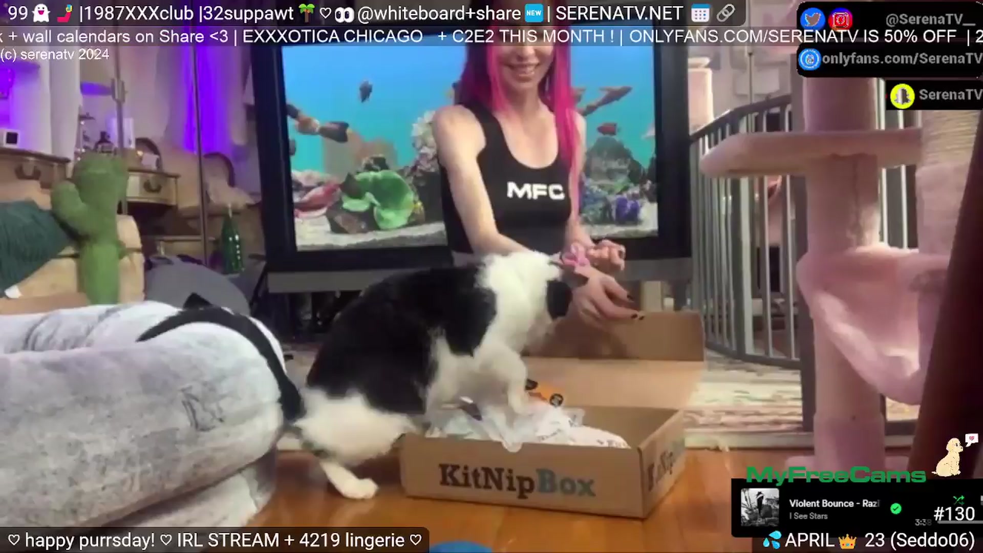 Gallery image thumbnail from serenatv's myfreecams stream on, 04/11/2024, 20:32 image 16 of 20