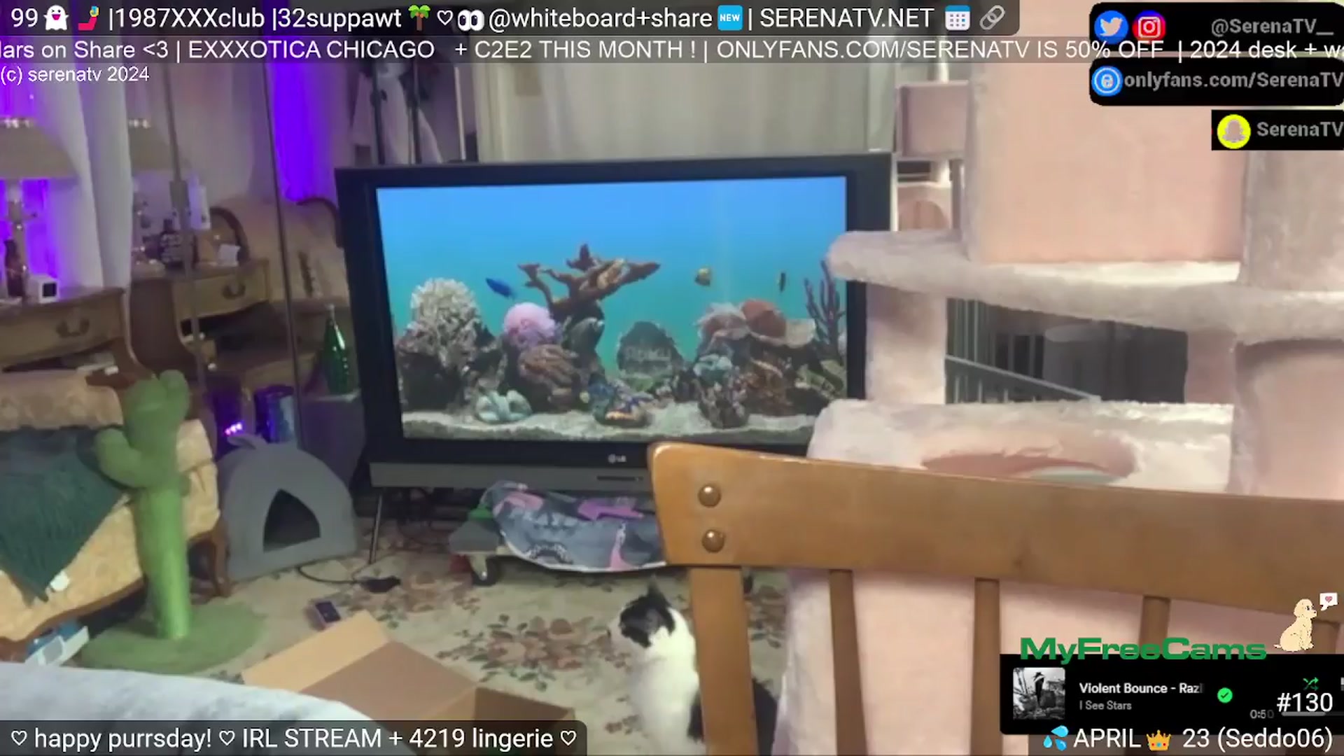 Gallery image thumbnail from serenatv's myfreecams stream on, 04/11/2024, 20:32 image 15 of 20