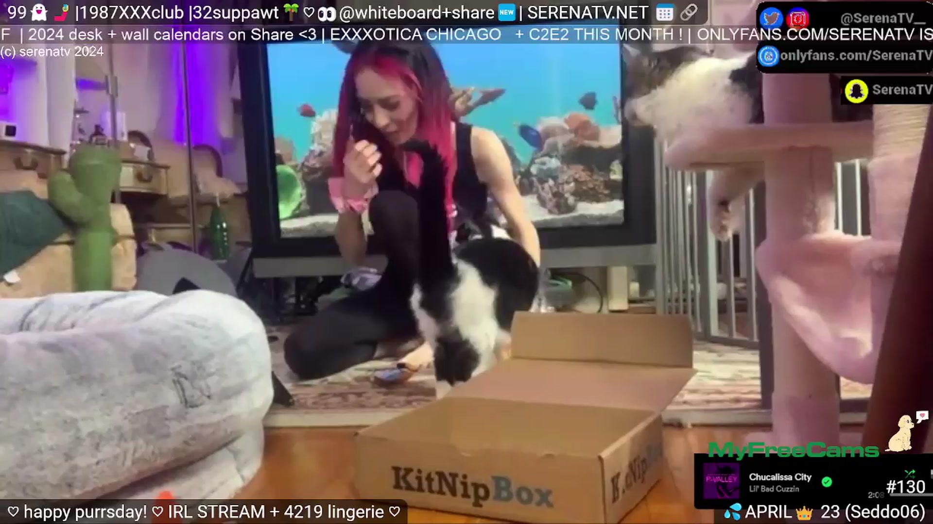 Gallery image thumbnail from serenatv's myfreecams stream on, 04/11/2024, 20:32 image 17 of 20