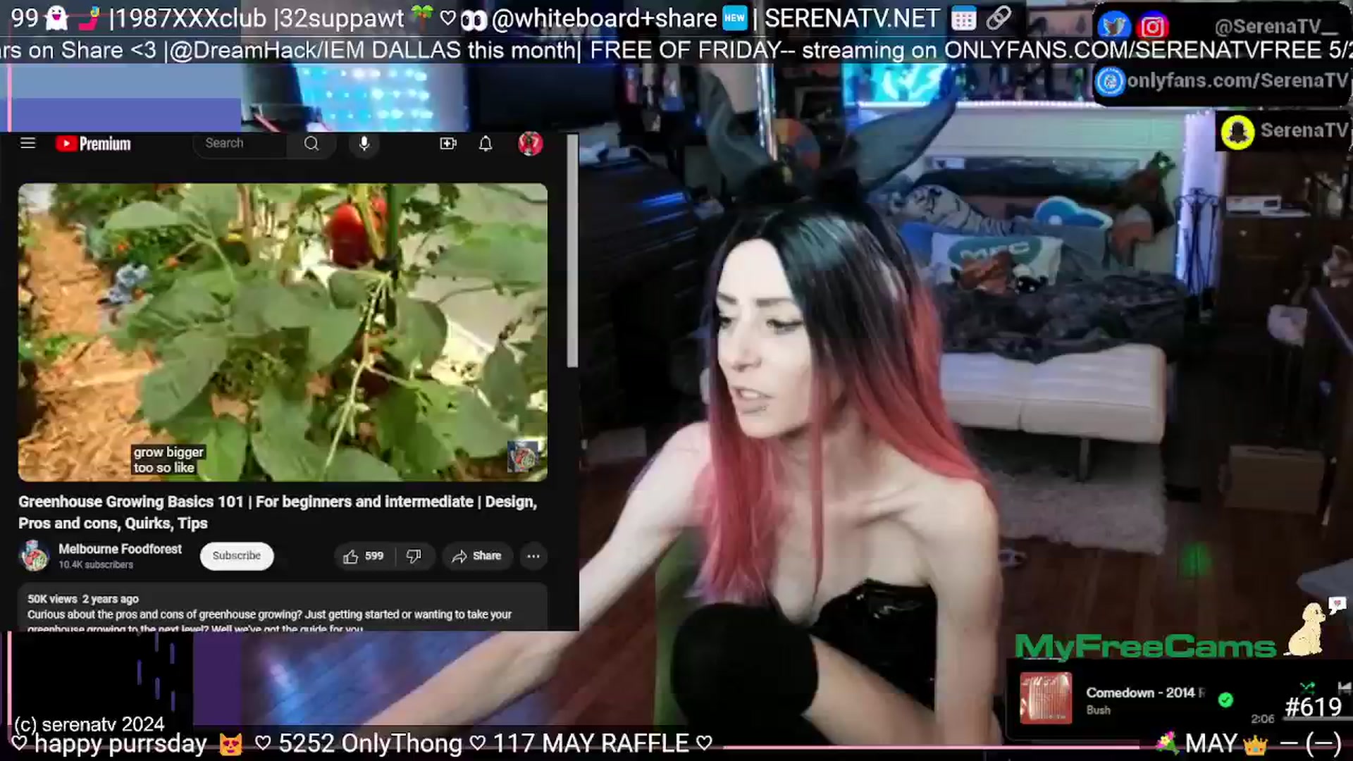 Gallery image thumbnail from serenatv's myfreecams stream on, 05/23/2024, 20:11 image 18 of 20