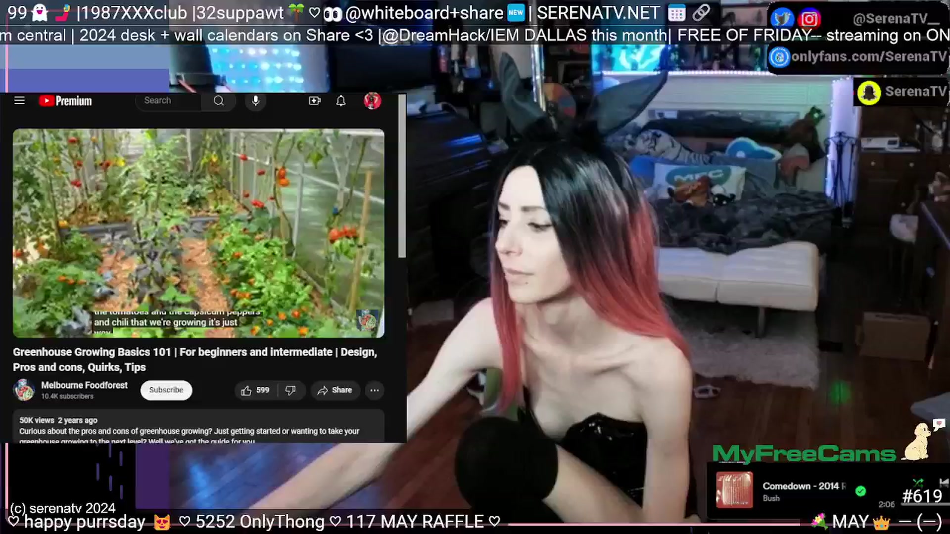 Gallery image thumbnail from serenatv's myfreecams stream on, 05/23/2024, 20:11 image 20 of 20