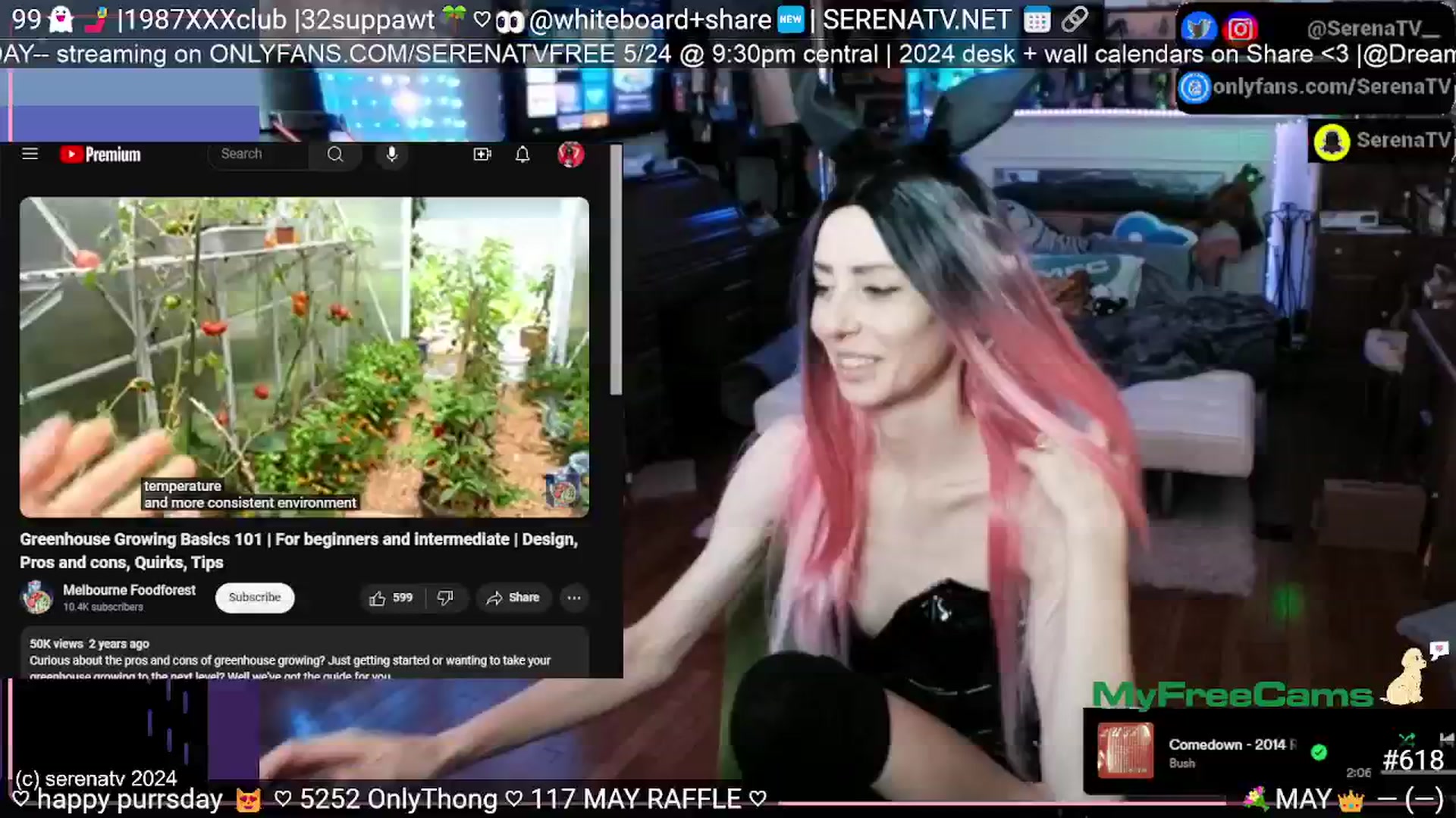 Gallery image thumbnail from serenatv's myfreecams stream on, 05/23/2024, 20:11 image 14 of 20