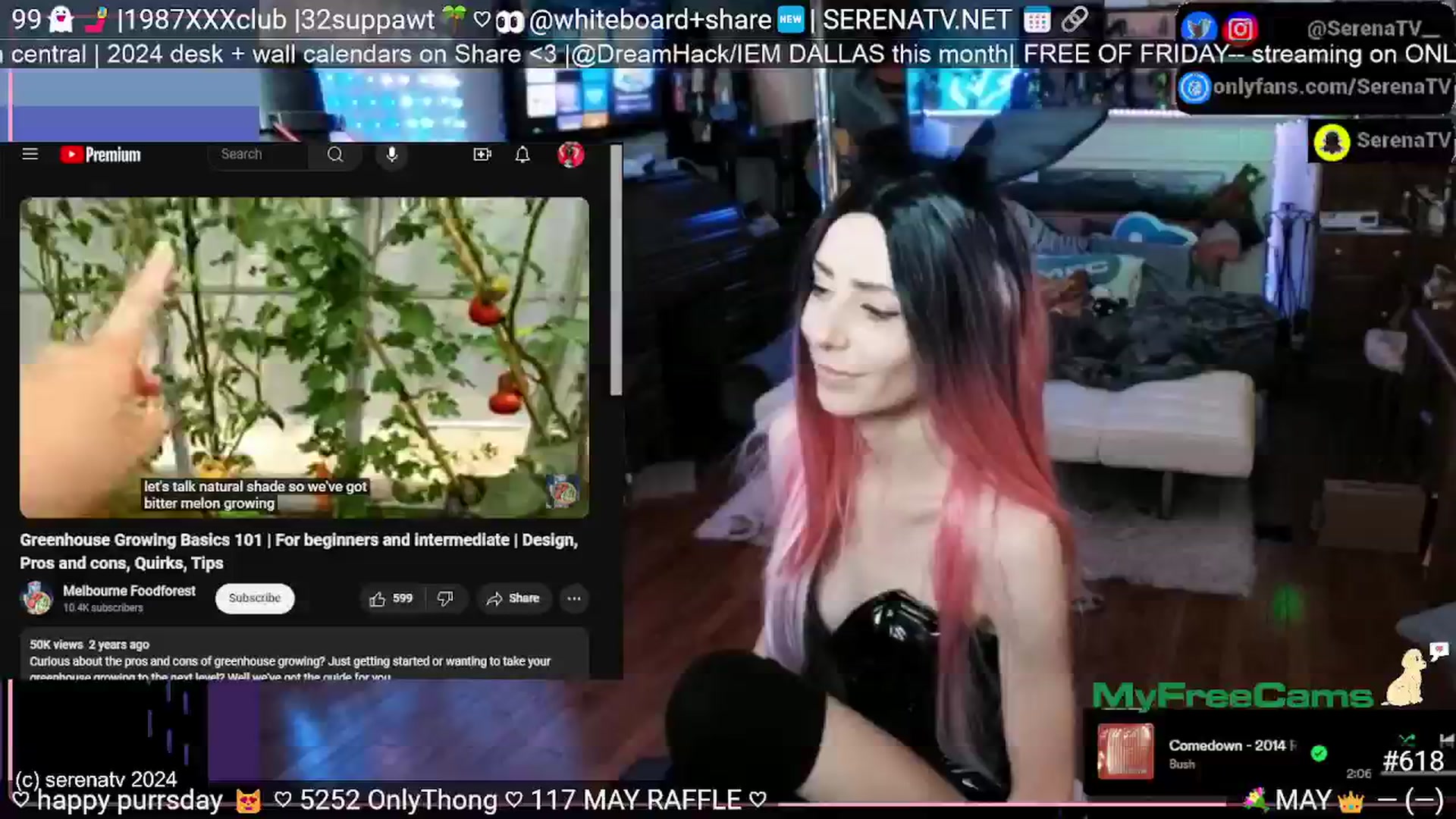 Gallery image thumbnail from serenatv's myfreecams stream on, 05/23/2024, 20:11 image 15 of 20