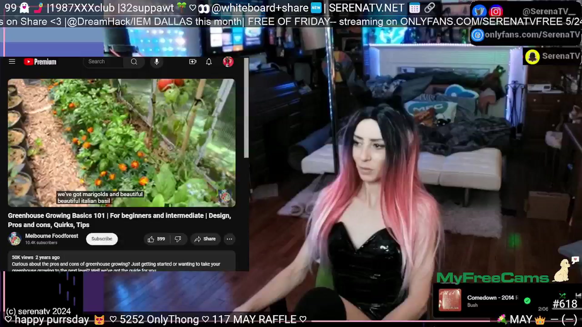 Gallery image thumbnail from serenatv's myfreecams stream on, 05/23/2024, 20:11 image 13 of 20