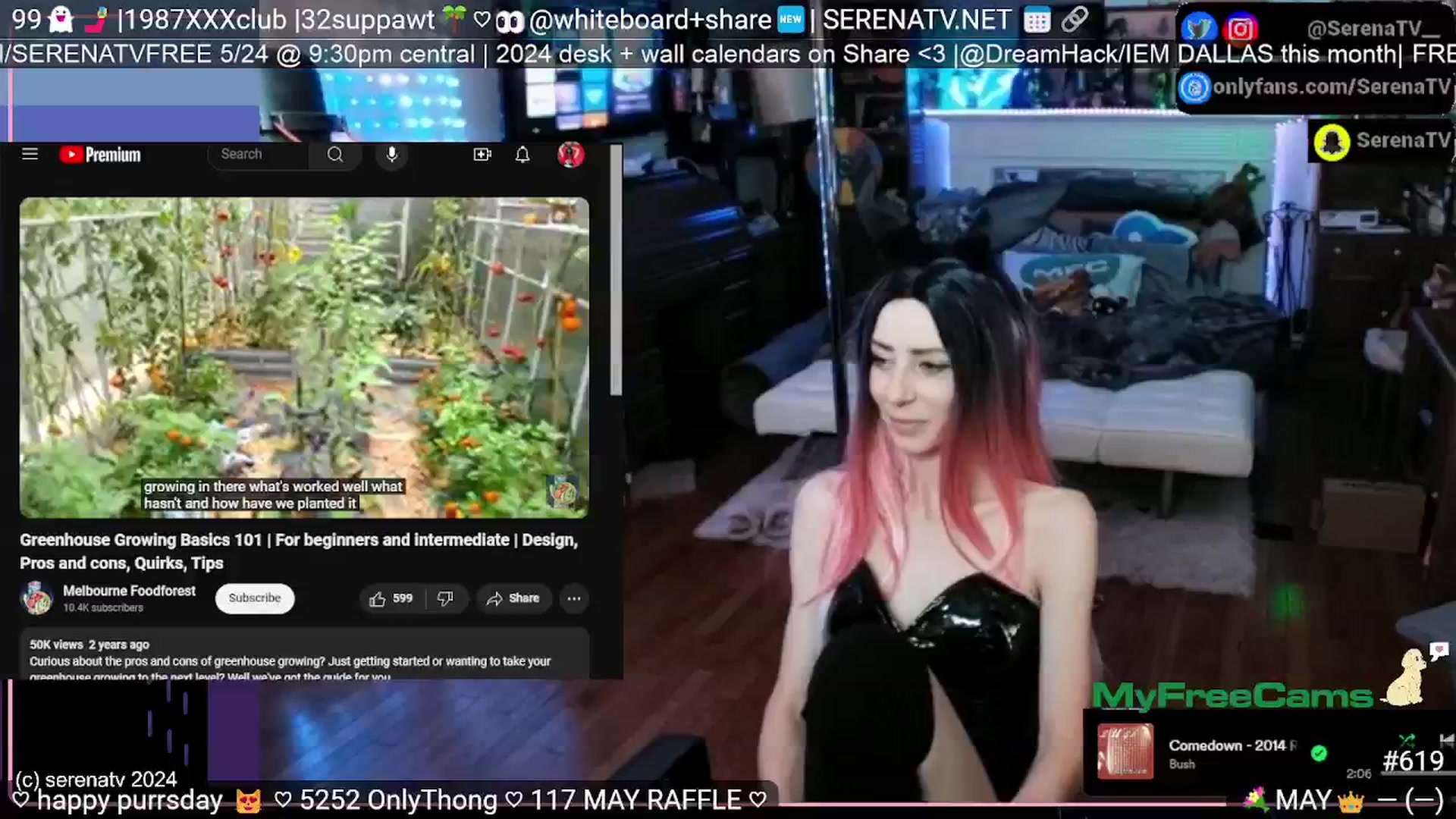 Gallery image thumbnail from serenatv's myfreecams stream on, 05/23/2024, 20:11 image 12 of 20