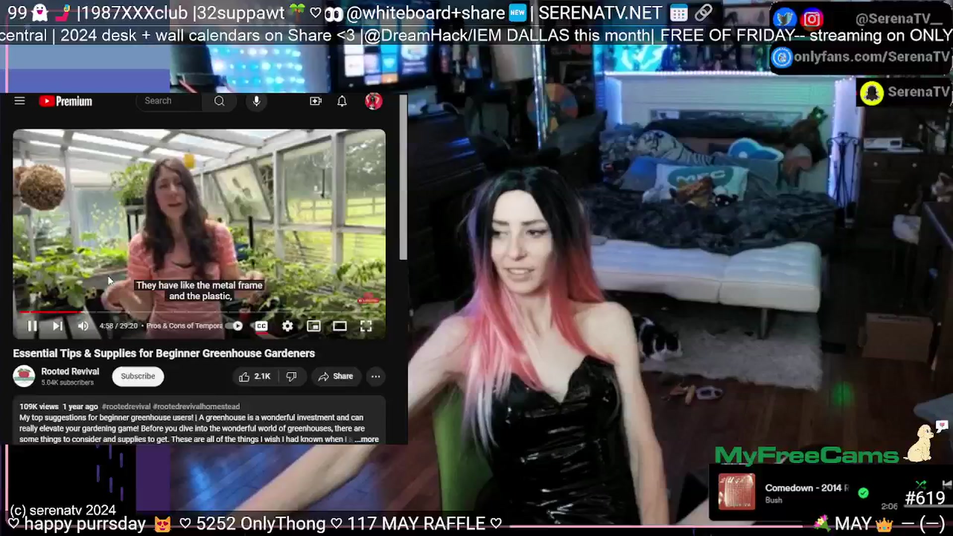 Gallery image thumbnail from serenatv's myfreecams stream on, 05/23/2024, 20:11 image 10 of 20