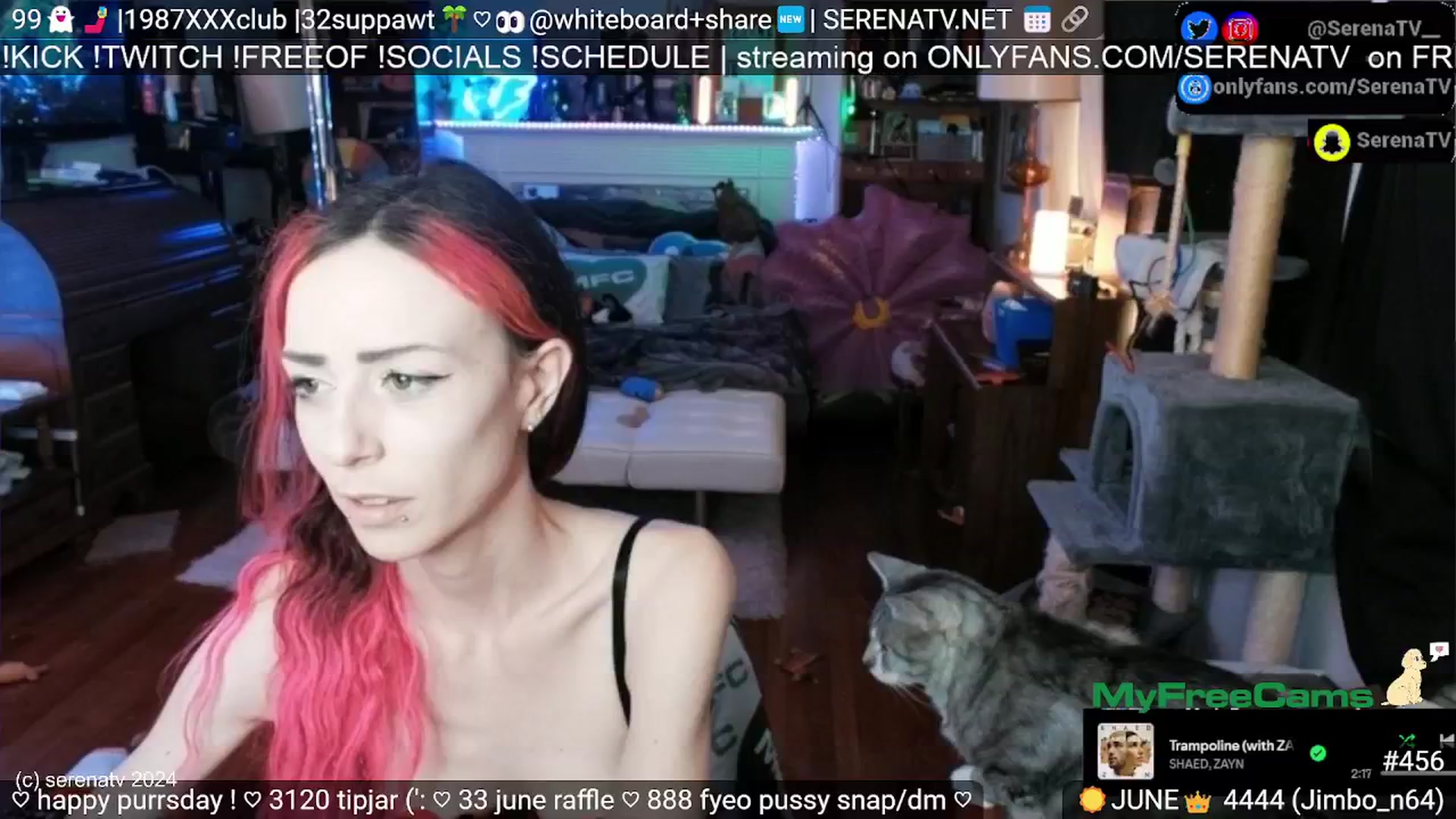 Gallery image thumbnail from serenatv's myfreecams stream on, 06/27/2024, 20:13 image 12 of 20