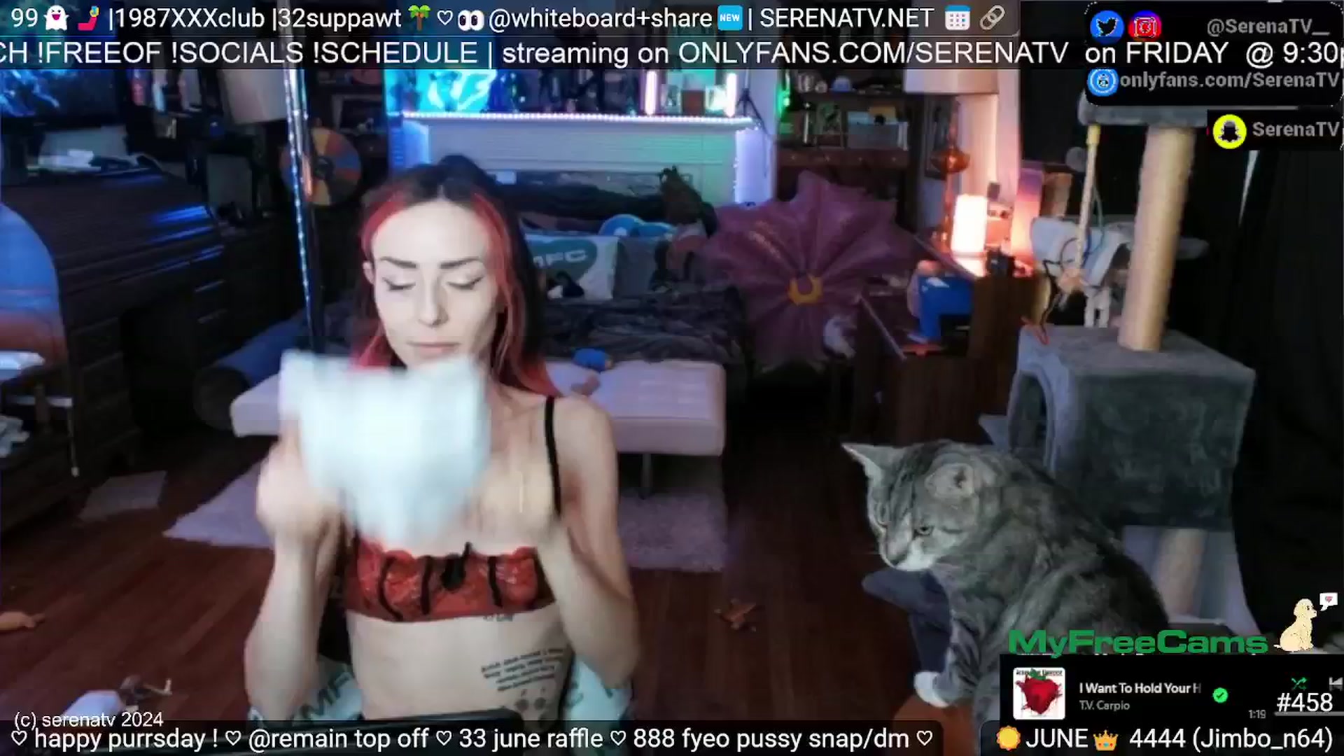 Gallery image thumbnail from serenatv's myfreecams stream on, 06/27/2024, 20:13 image 10 of 20