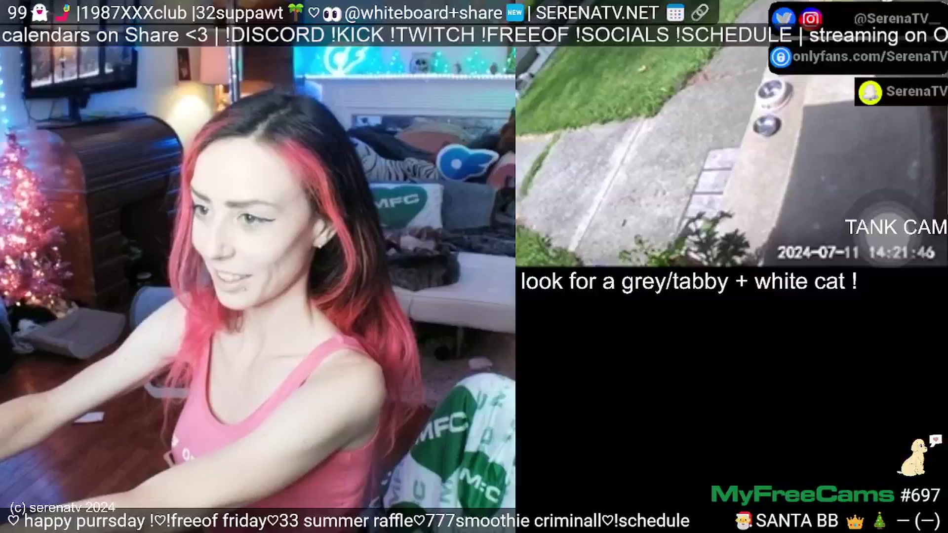 Gallery image thumbnail from serenatv's myfreecams stream on, 07/11/2024, 19:36 image 12 of 20