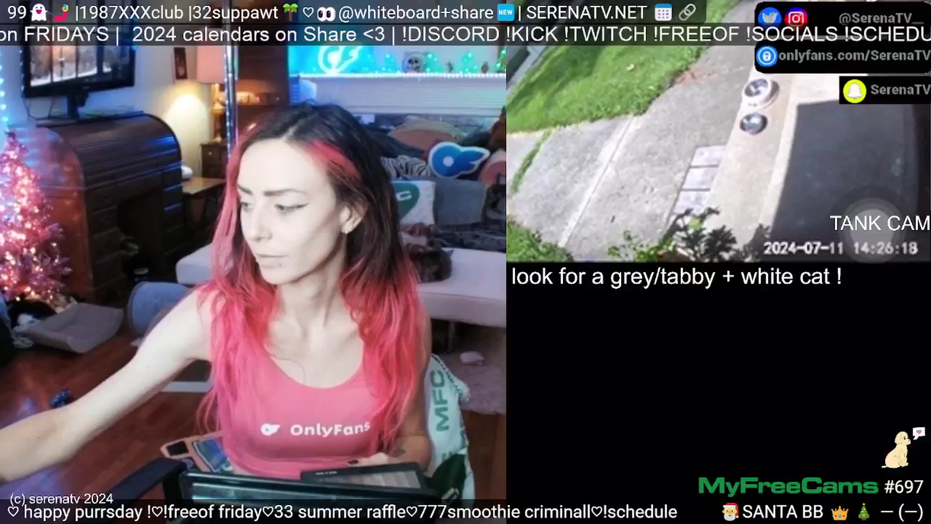 Gallery image thumbnail from serenatv's myfreecams stream on, 07/11/2024, 19:36 image 15 of 20