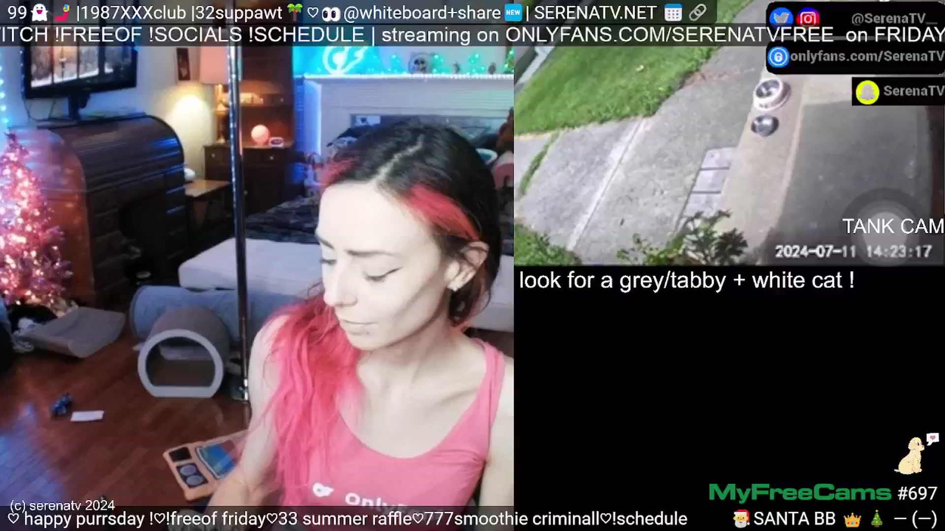 Gallery image thumbnail from serenatv's myfreecams stream on, 07/11/2024, 19:36 image 13 of 20