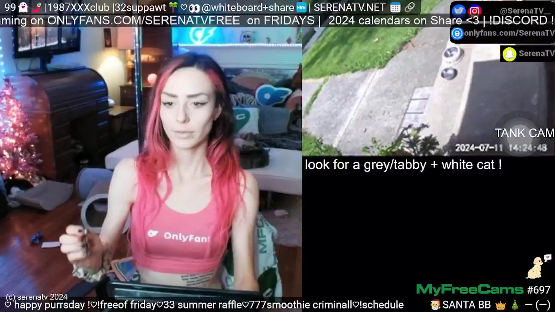 Gallery image thumbnail from serenatv's myfreecams stream on, 07/11/2024, 19:36 image 14 of 20